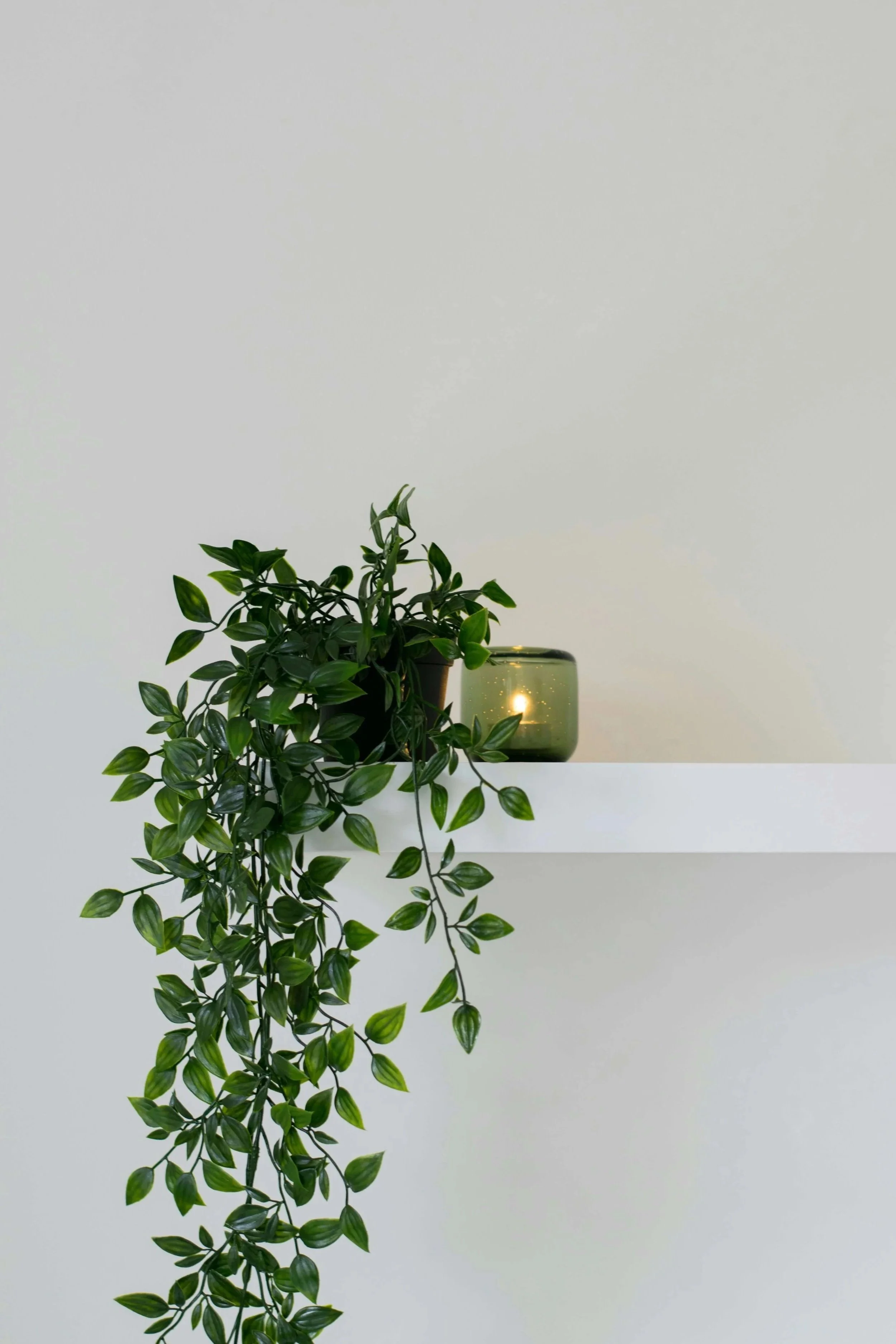 A potted plant with green, leafy vines spilling over a white surface, positioned against a plain white wall. Next to the plant is a small, green, candle holder with a lit candle inside.