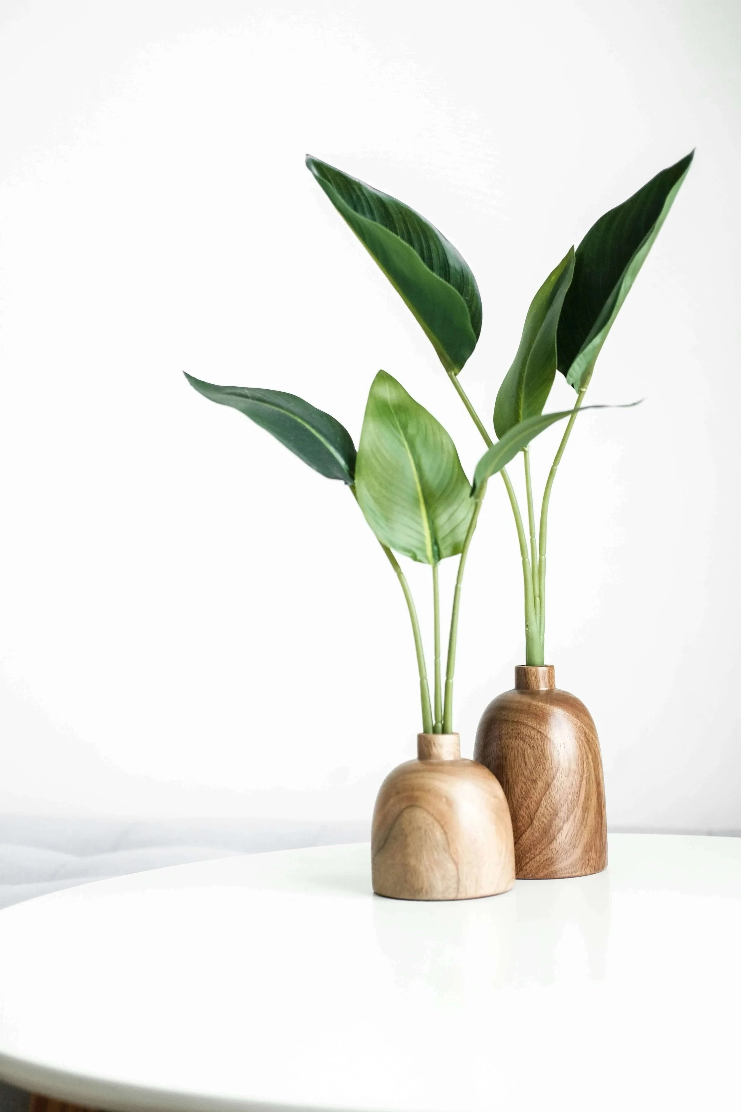 Therapy for Perfectionism: Two wooden vases with green leafy plants on a white surface against a white background. | Mindful Blooms Counseling