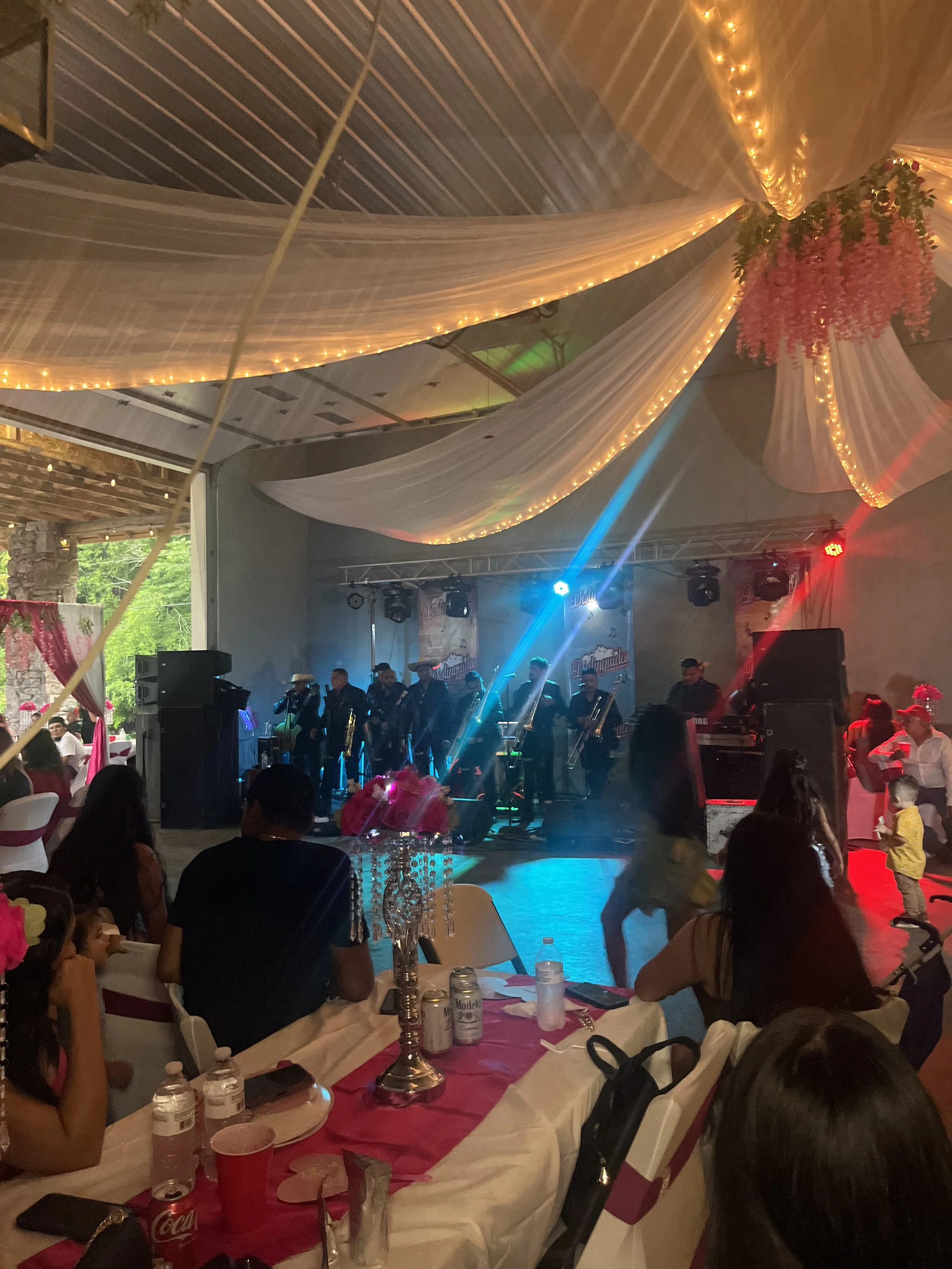 Quinceañera - Pink theme with live band