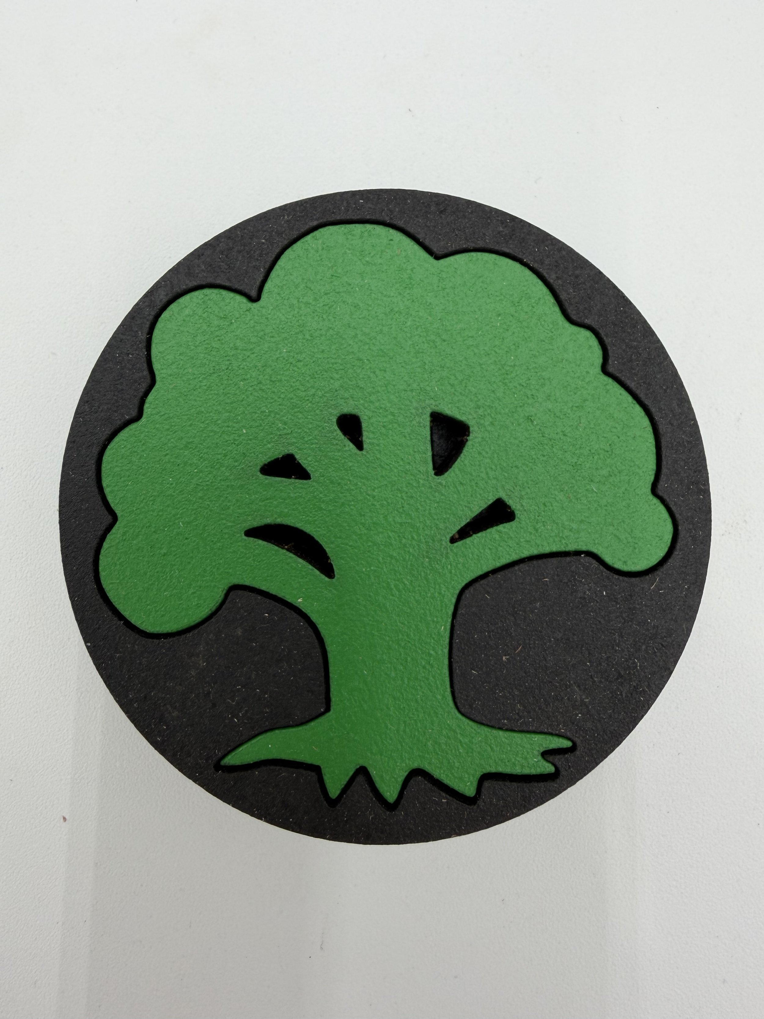 Photo Feb 25 2026, 9 19 52 AM.jpg