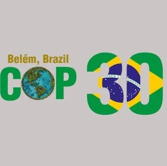 COP30: Between Breakthroughs and Broken Processes 