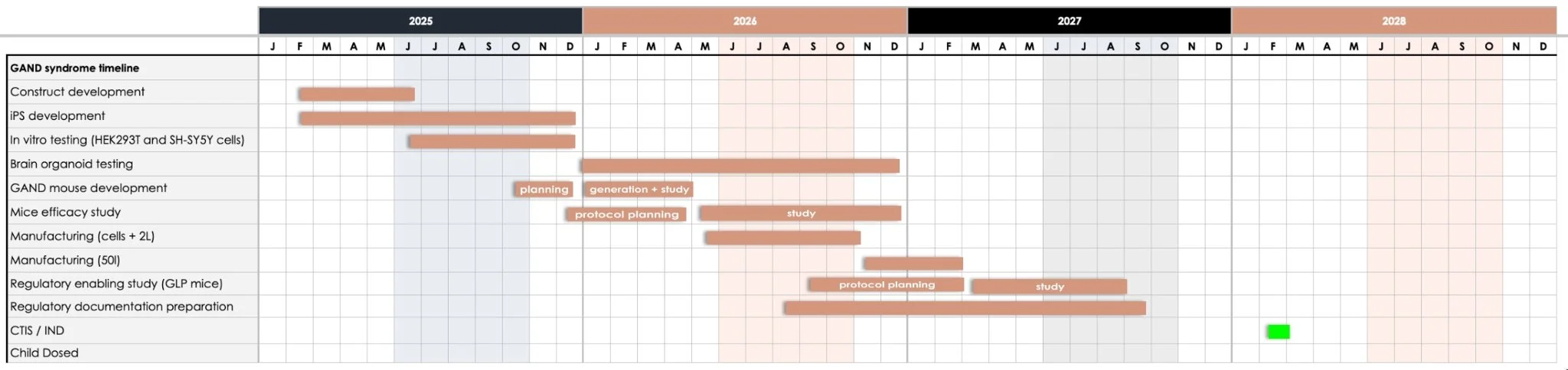 GAND syndrome timeline chart from 2025 to 2028, showing various research phases including development, testing, and regulatory steps for different projects, with labels for planning, study, protocol planning, and a highlighted green section.