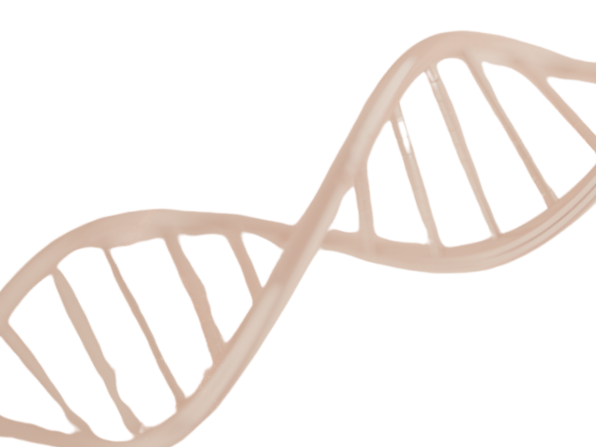 Illustration of a DNA double helix strand.