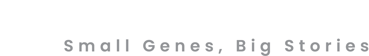 GAND foundation