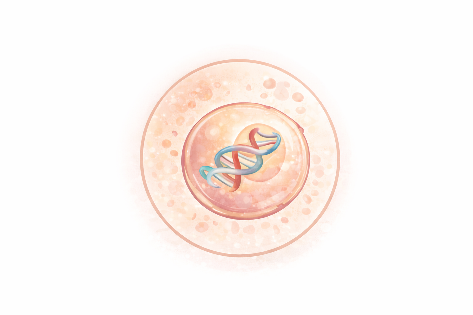 Illustration of a human cell with DNA strands inside.