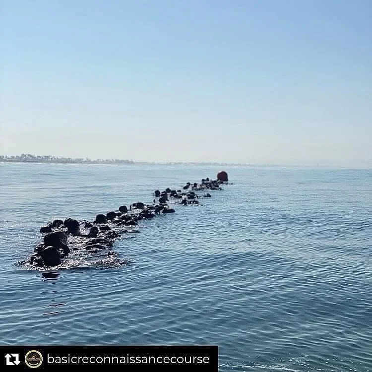 The daily 2K equipment fin for time&hellip;&rdquo;fin faster, fin harder!&rdquo;

If you are not sweating in the water, you are wrong.

@marinereconfoundation @recontrainingcompany 
#recon #marinereconfoundation