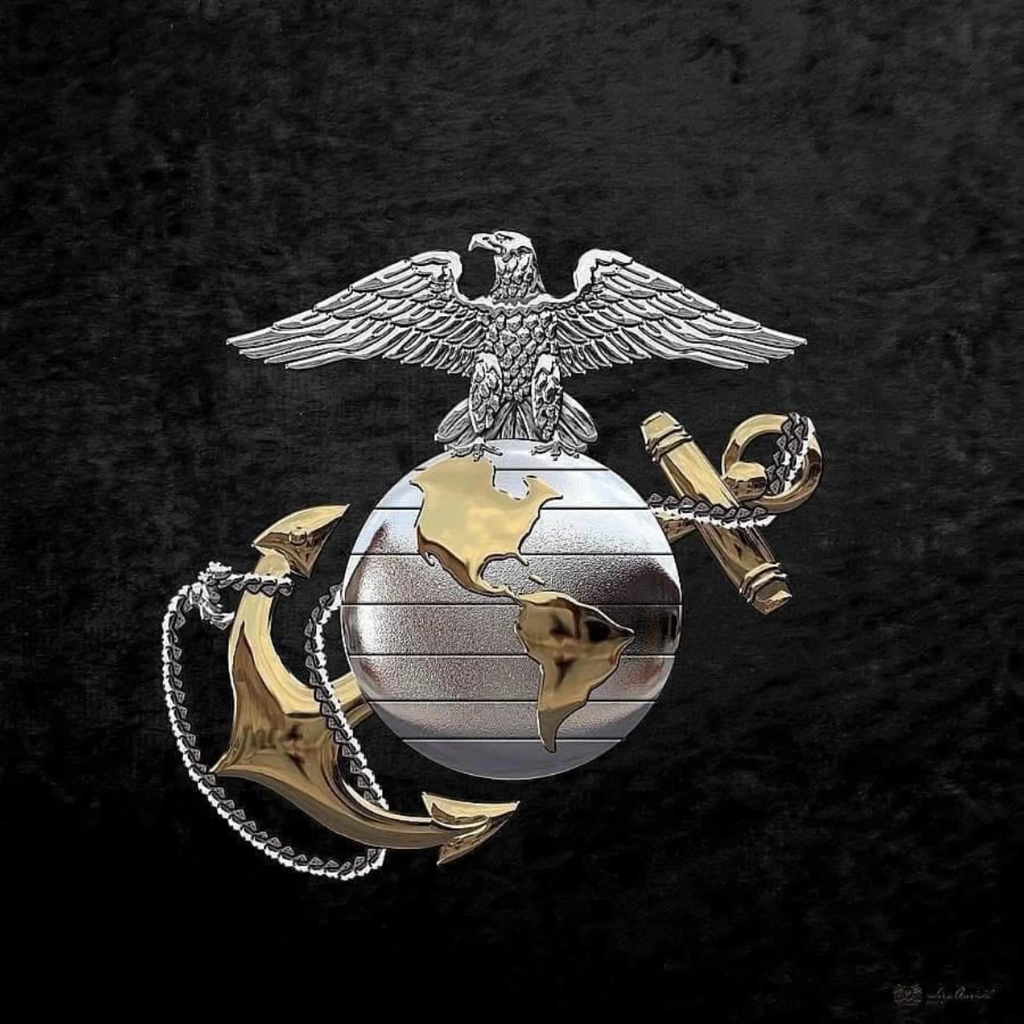 Happy 250th Birthday to all United States Marines past and present!

#Warriorsfromthesea #DevilDogs #Leathernecks #firsttofight #americas911force #semperfidelis #alwaysfaithful