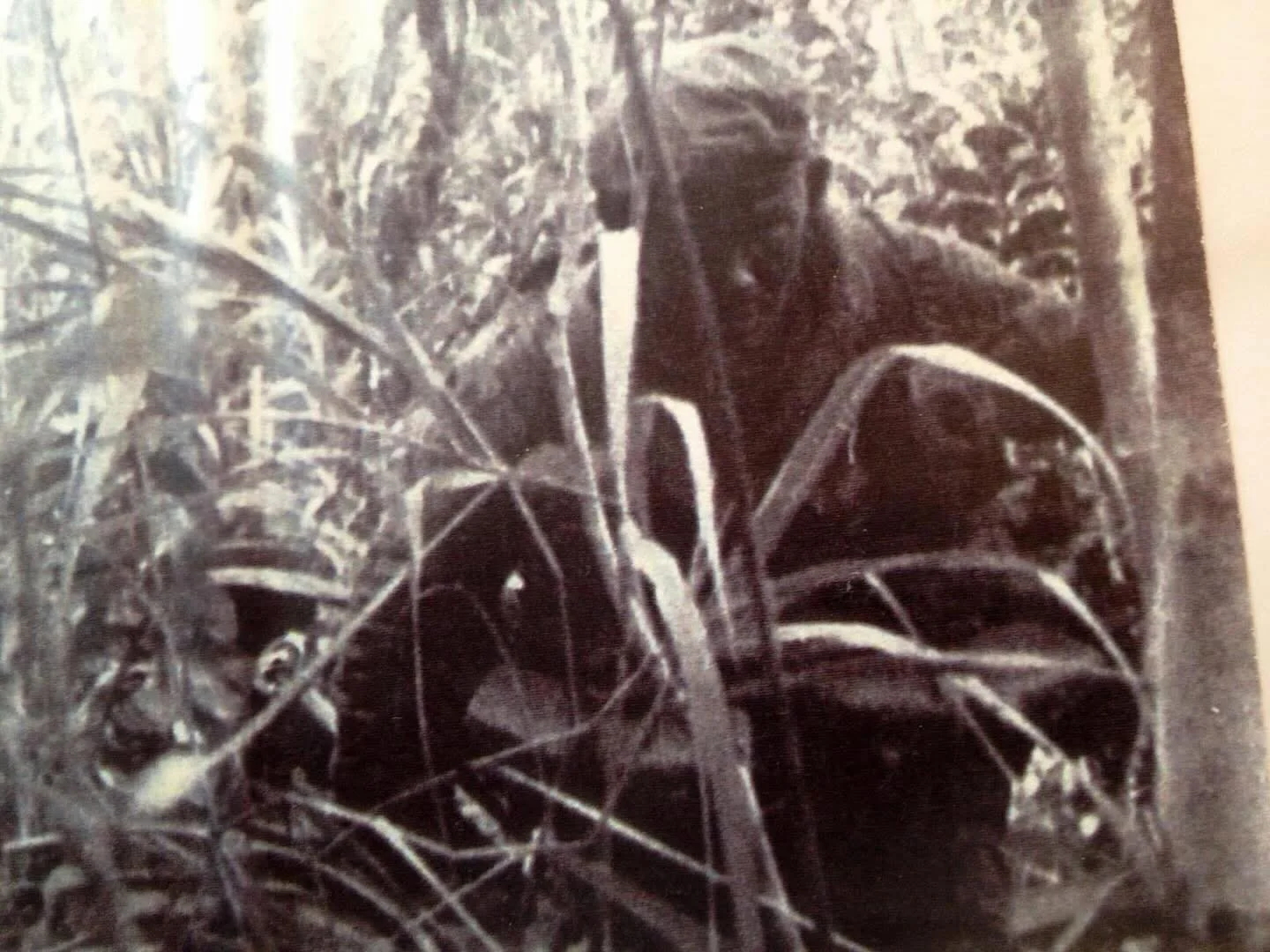 Today we remember our brother and teammate SSgt Darrell Eugene &ldquo;Mother&rdquo; Ayers of 1st Force Recon Co. Team ABE LINCOLN who was KIA March 19, 1970

NAVY CROSS CITATION: 
The President of the United States of America takes pride in presentin