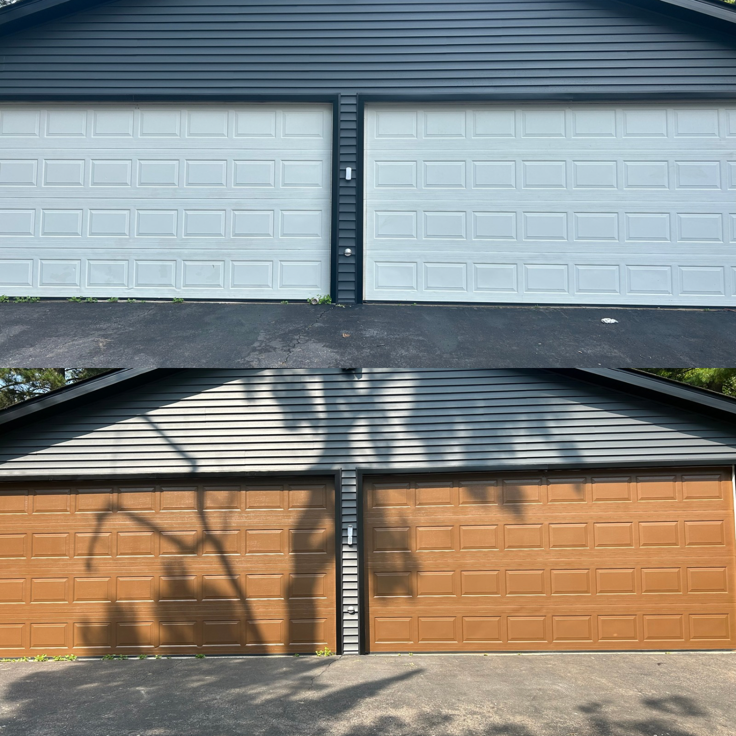 Untitled design - 3.PNG