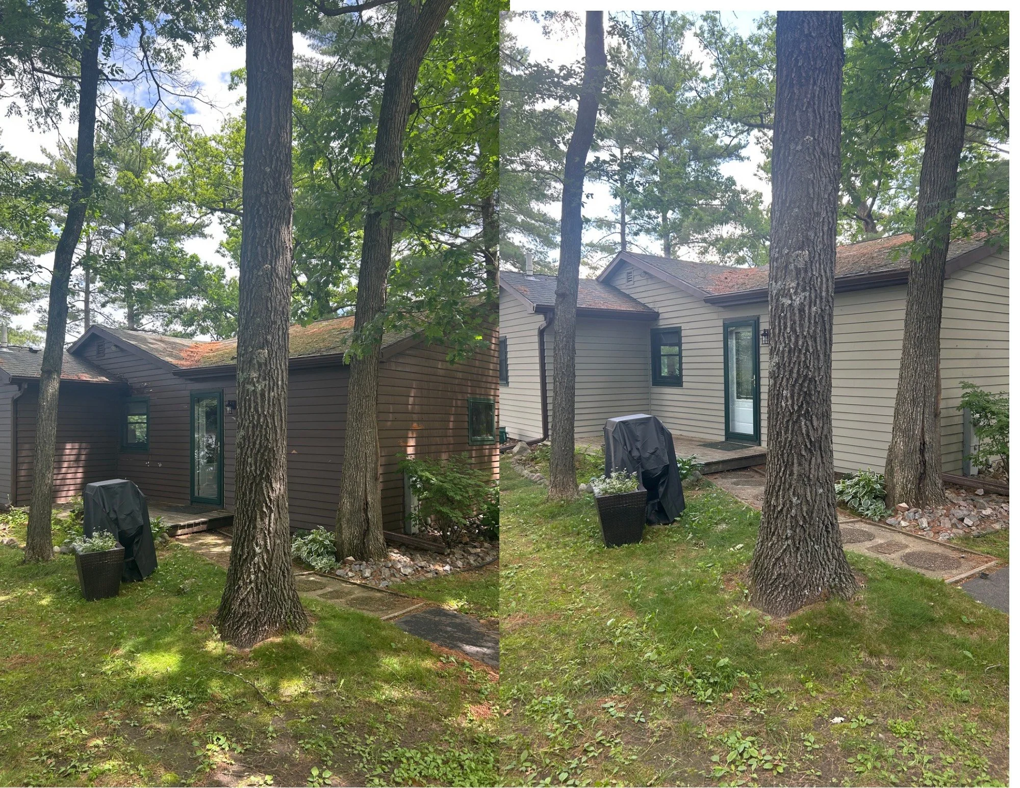 Untitled design - 2 (1).png