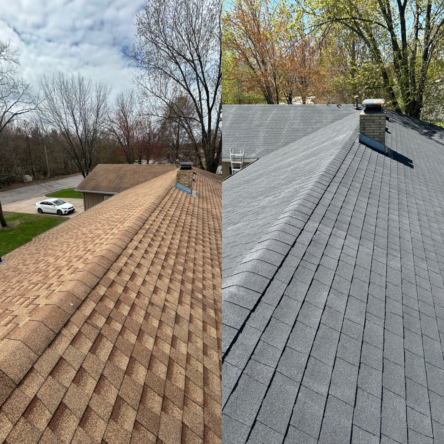 Untitled design - 1.PNG