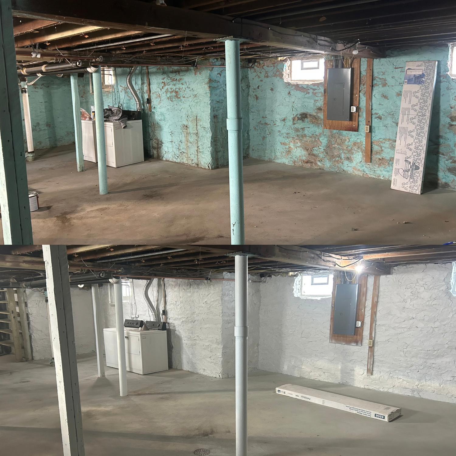 Untitled design (11).PNG