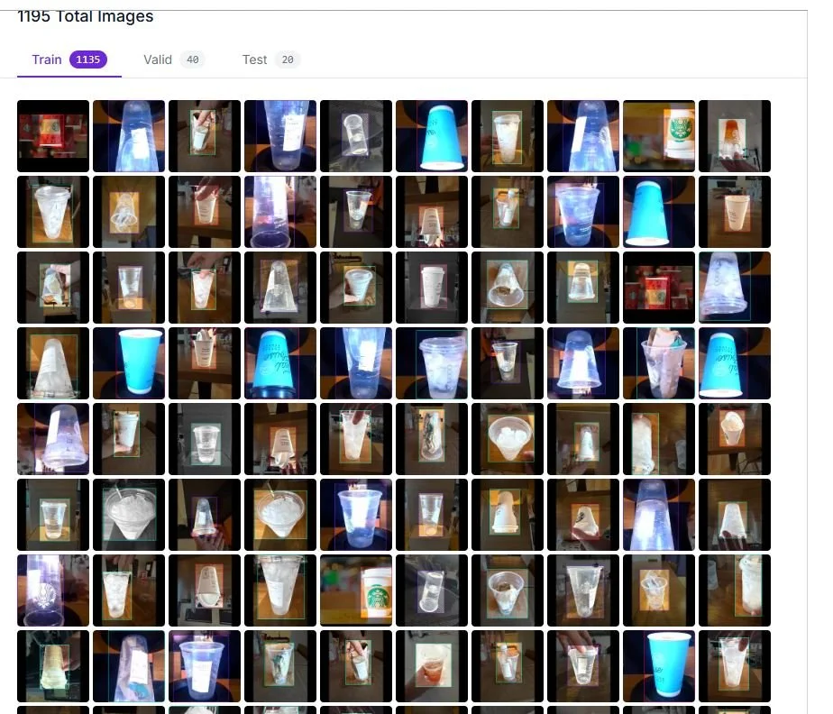 robo.JPG