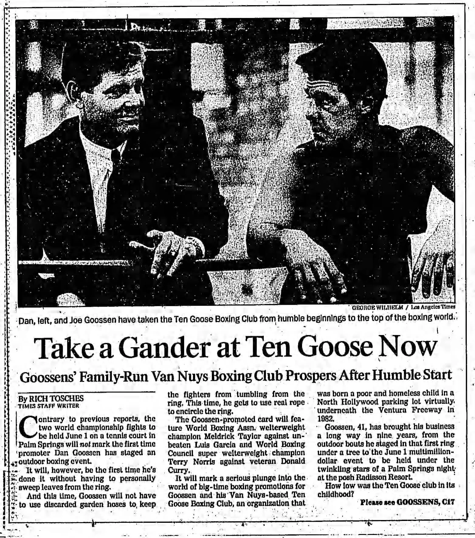 Take_a_Gander_at_Ten_Goose_Now.jpeg