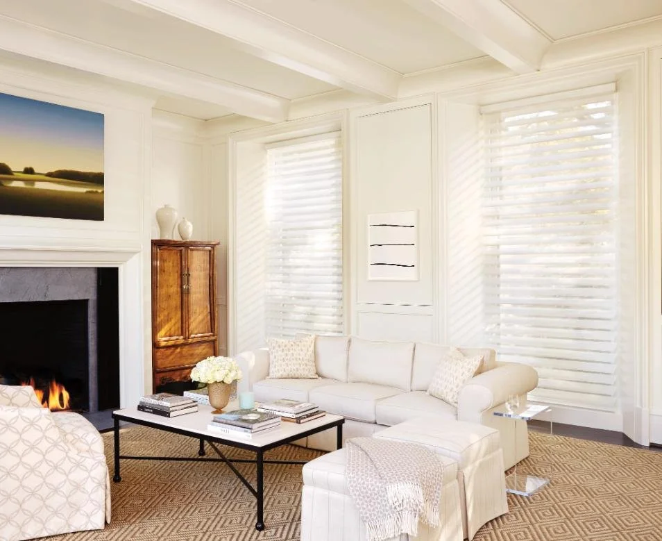 Bright living room with layered sheer shades filtering sunlight, showcasing custom window blinds, shades, and shutters Fairport, NY for elegant light control and privacy.