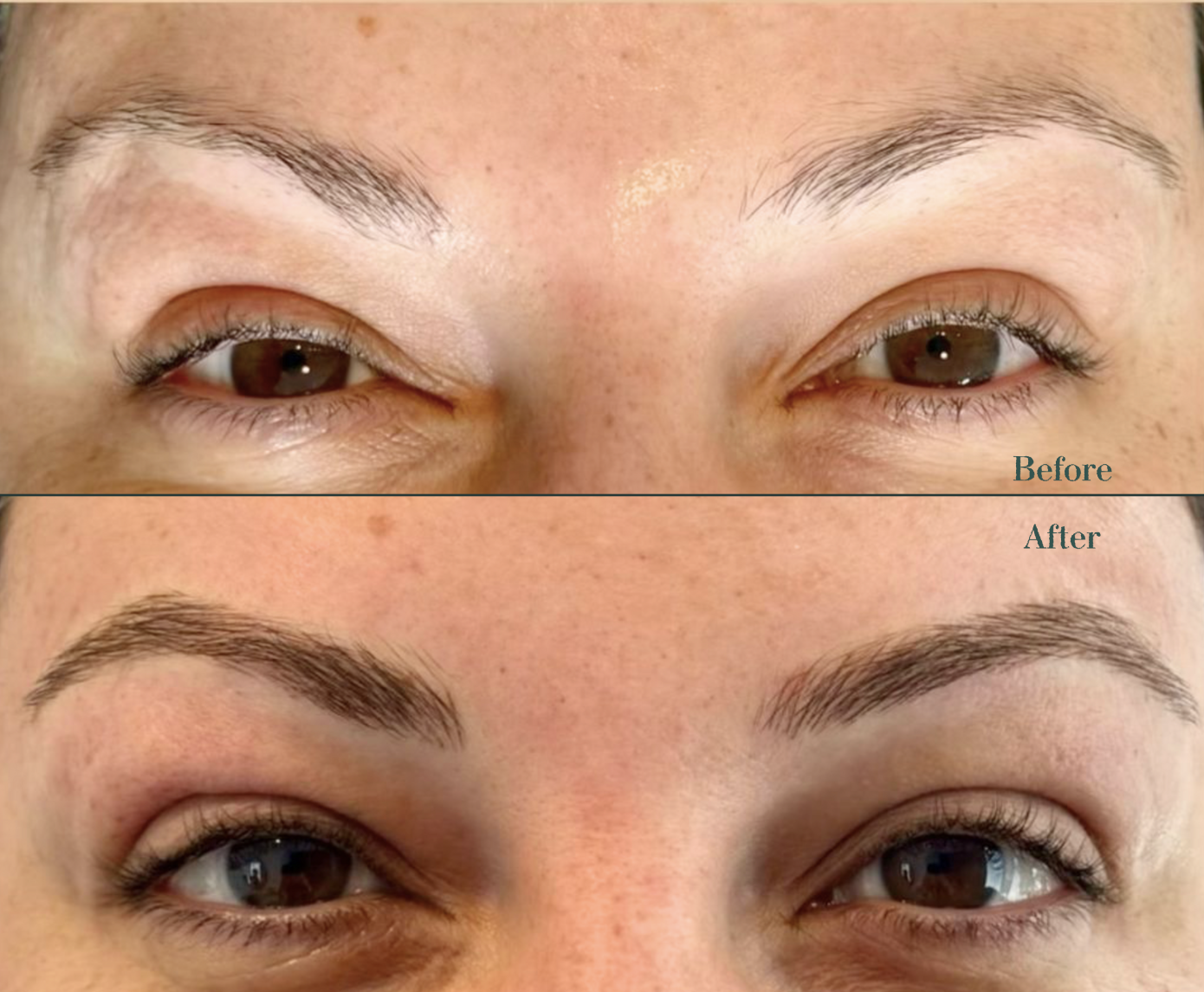 Microblading Nano Brows professional service in Etobicoke