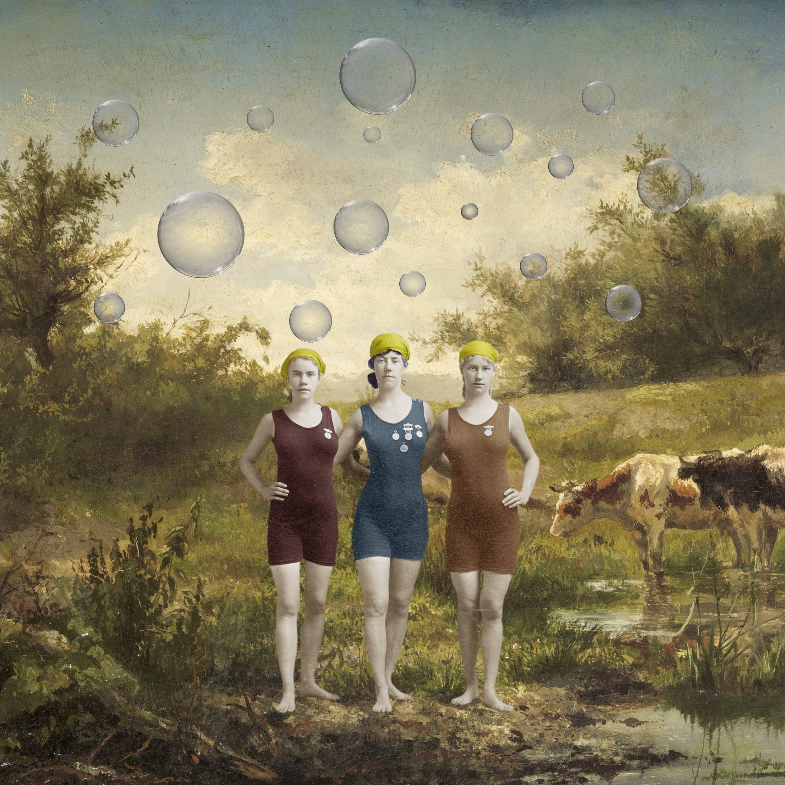 Summer Swimmers