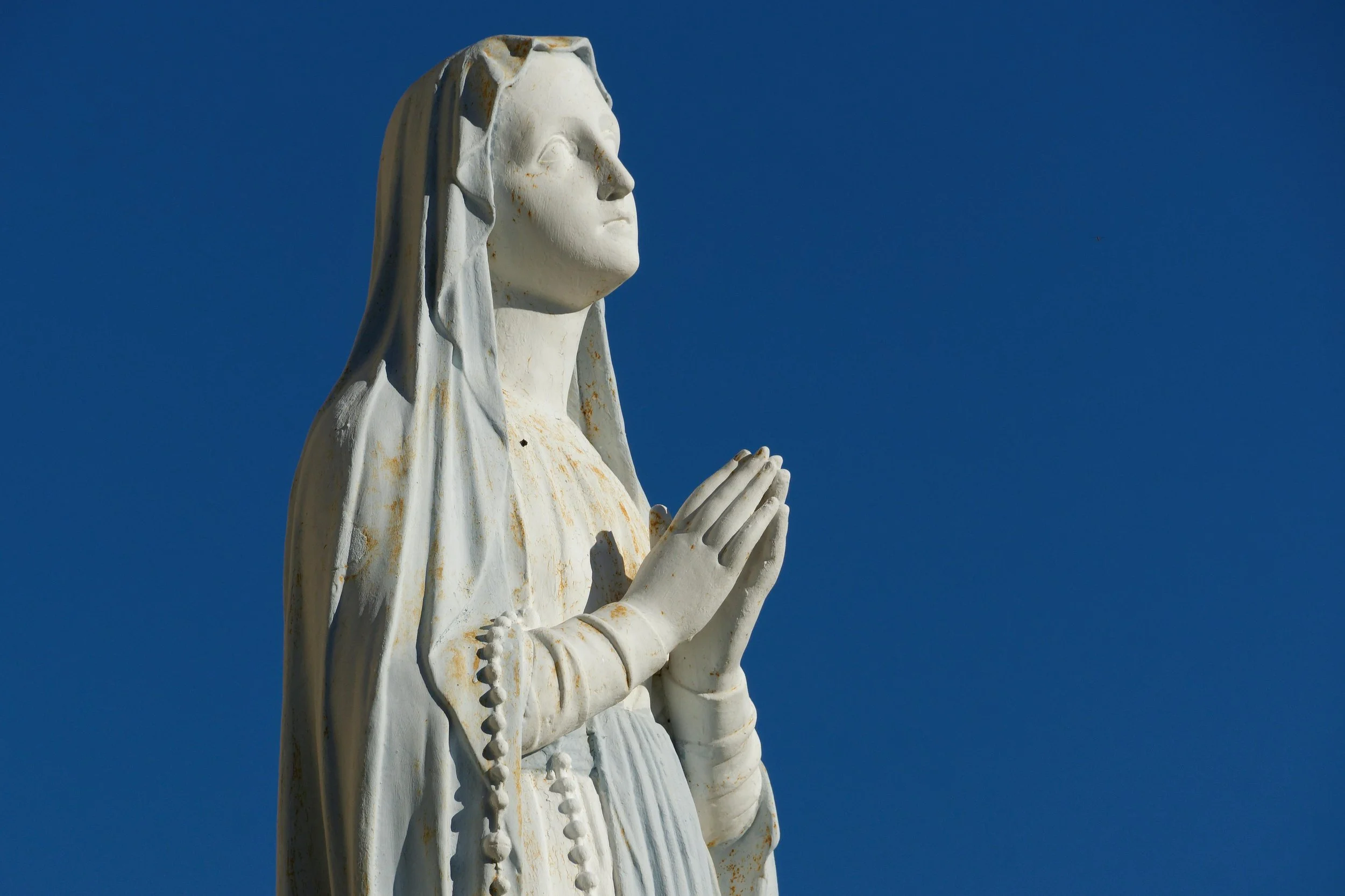 What Is a Marian Novena?