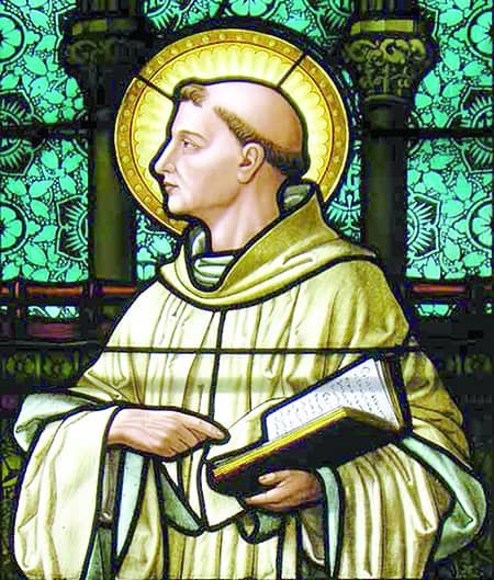 St. Bernard of Clairvaux: The Honey-Sweet Doctor of Mary