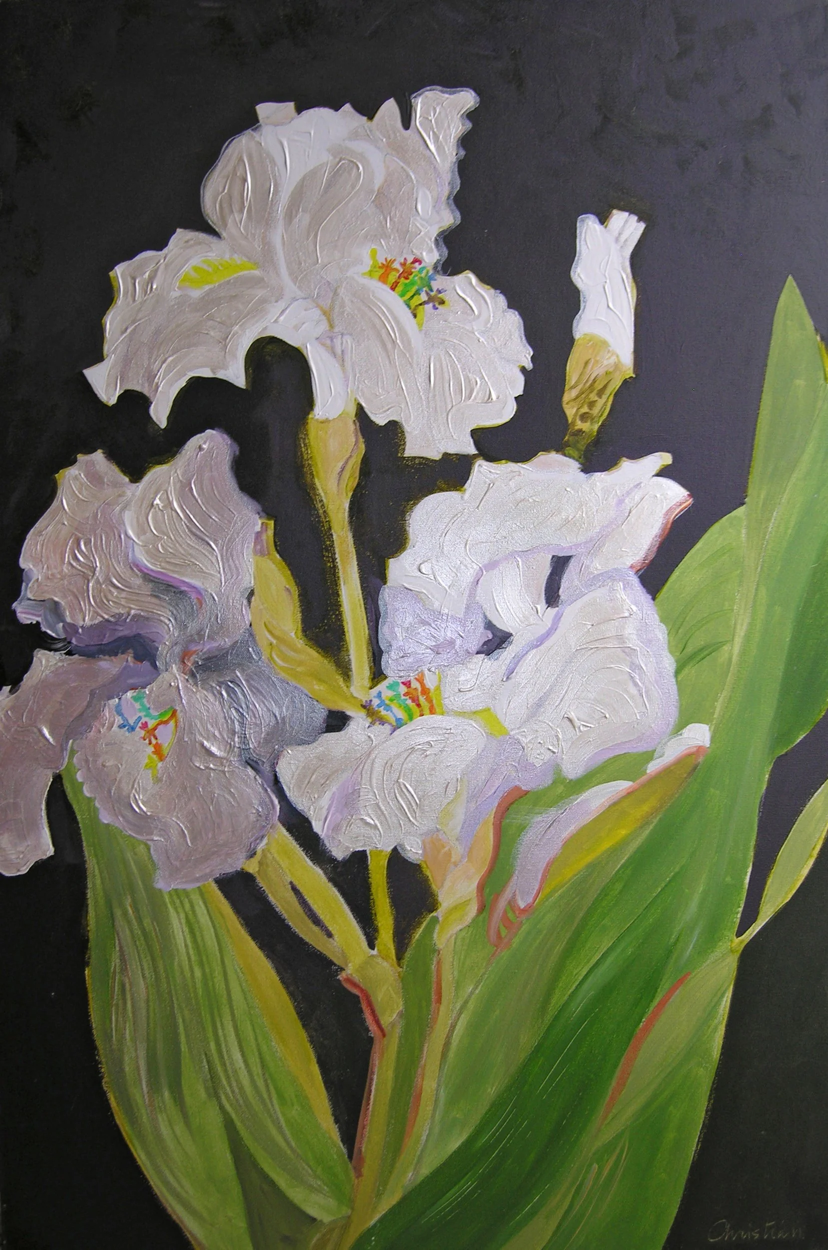 Living in a Frilly World
Acrylic on Canvas
24” x 36”
2008
— Available from Artist's Collection —