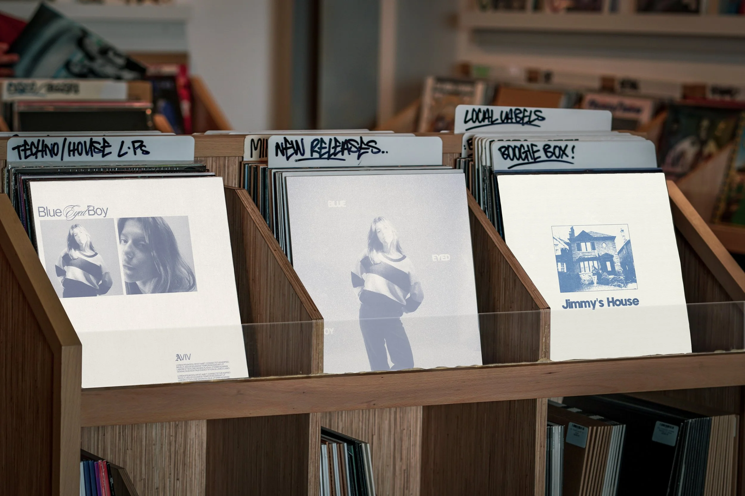 Vinaly record Store.jpg