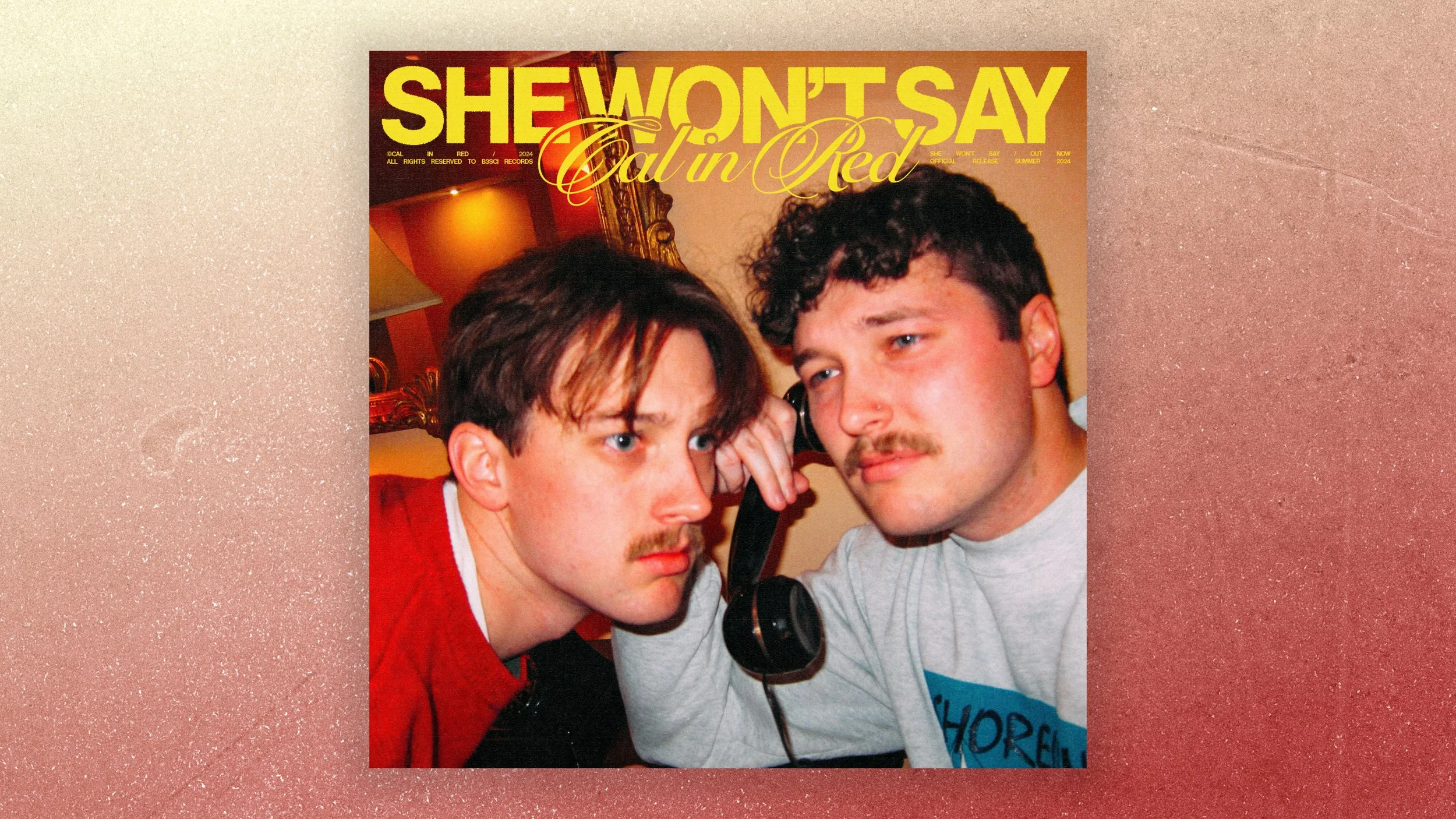 she wont say cover@2x.jpg