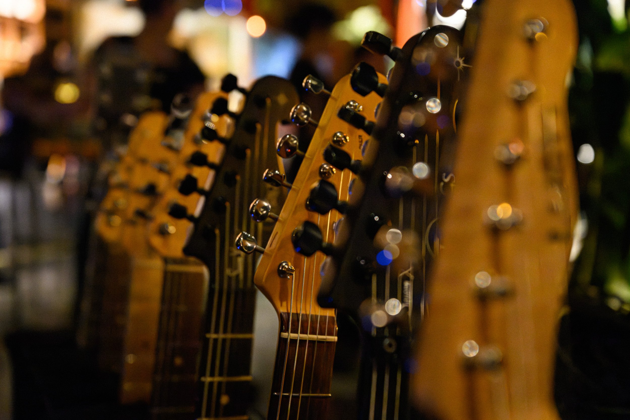 CELEBRATE ECHO'S 1 YEAR ANNIVERSARY