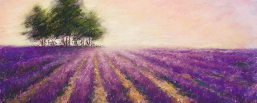 Lavender Field France.jpeg