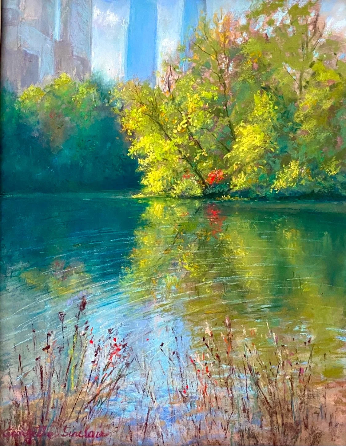 Central Park NYC.jpeg