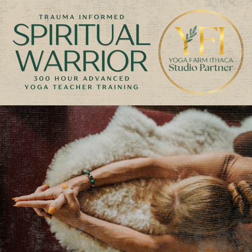 Spiritual Warrior 300 YTT