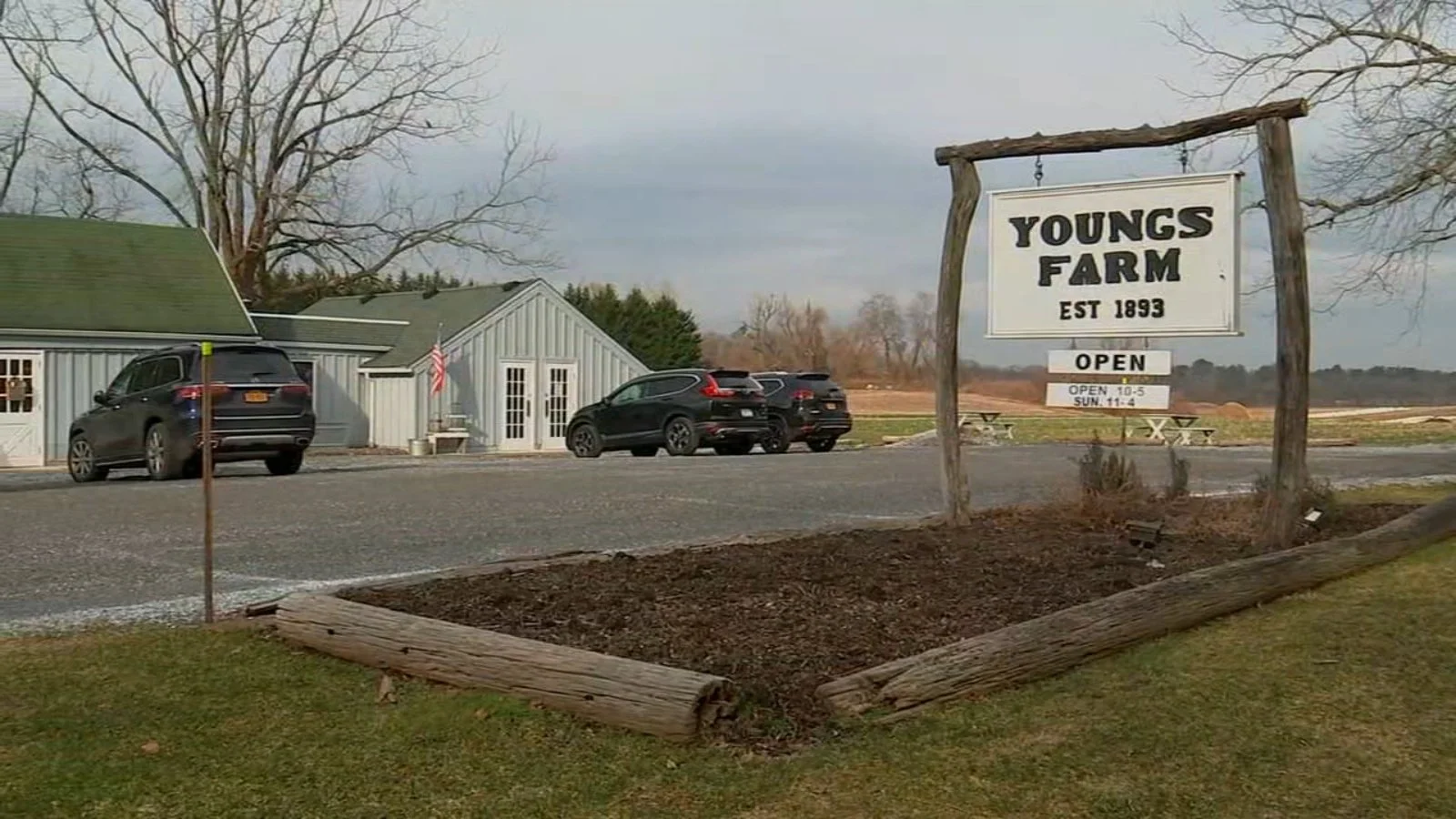 11533037_020222-wabc-youngs-farm-img.jpeg