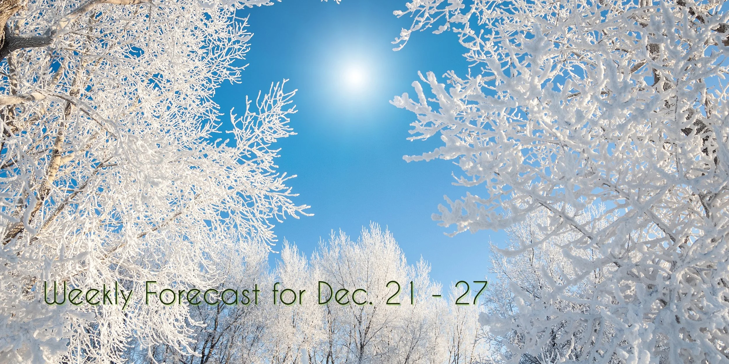 Foxy Astrology Weekly Forecast: Dec. 21 - 27