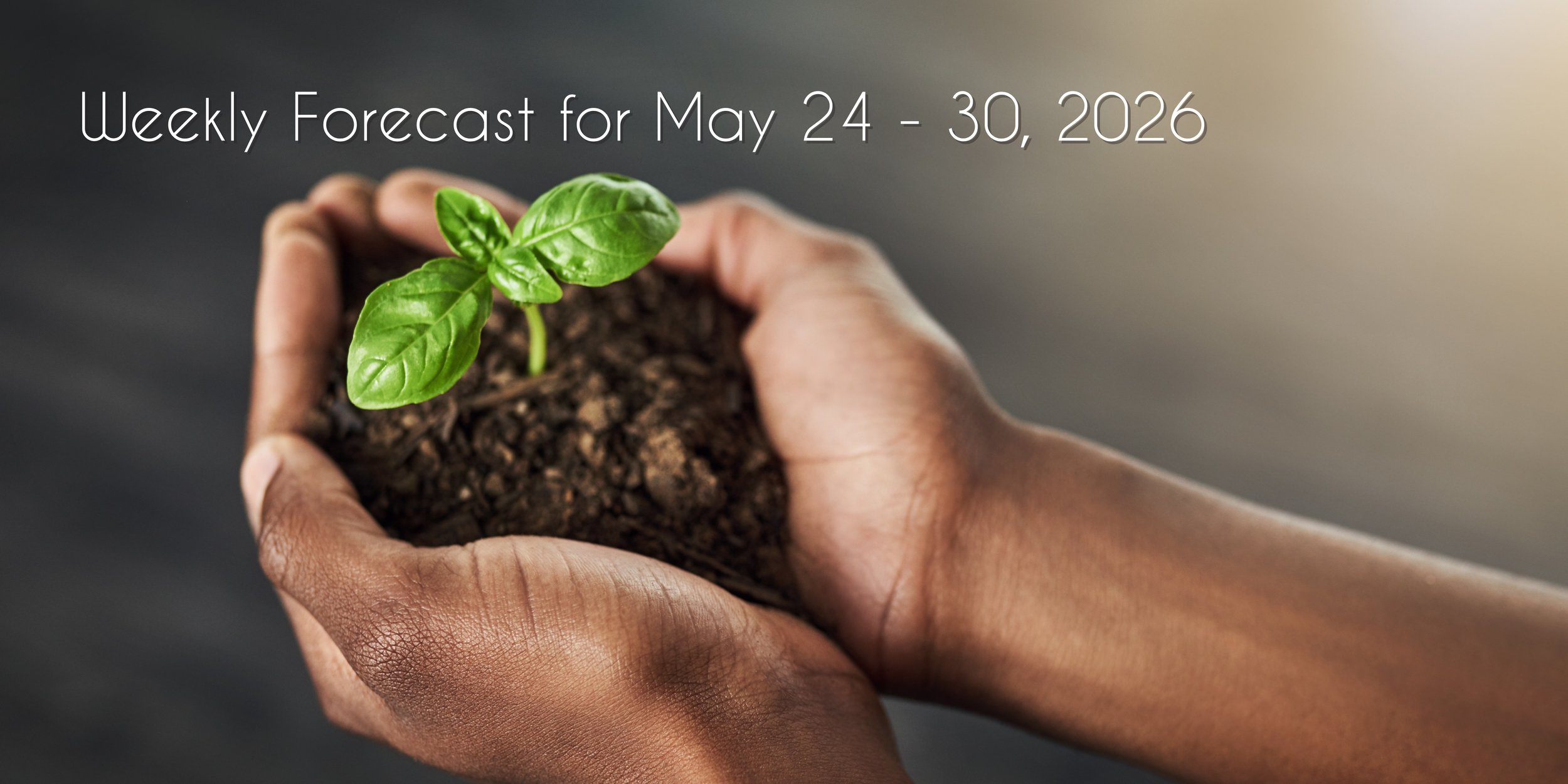 Foxy Astrology Weekly Forecast: May 24-30, 2026