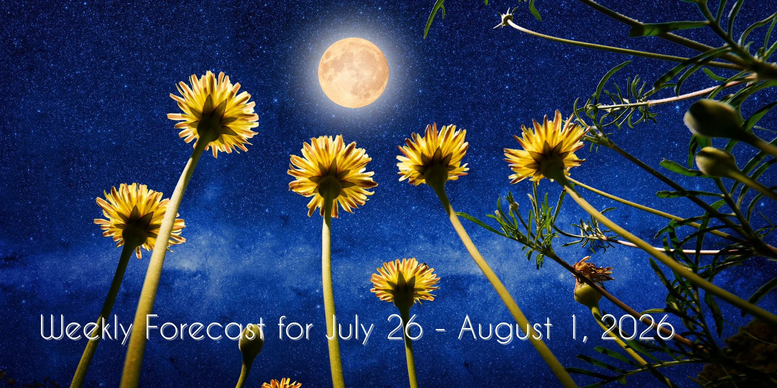 Foxy Astrology Wkly Forecast: July 26 - August 1, 2026