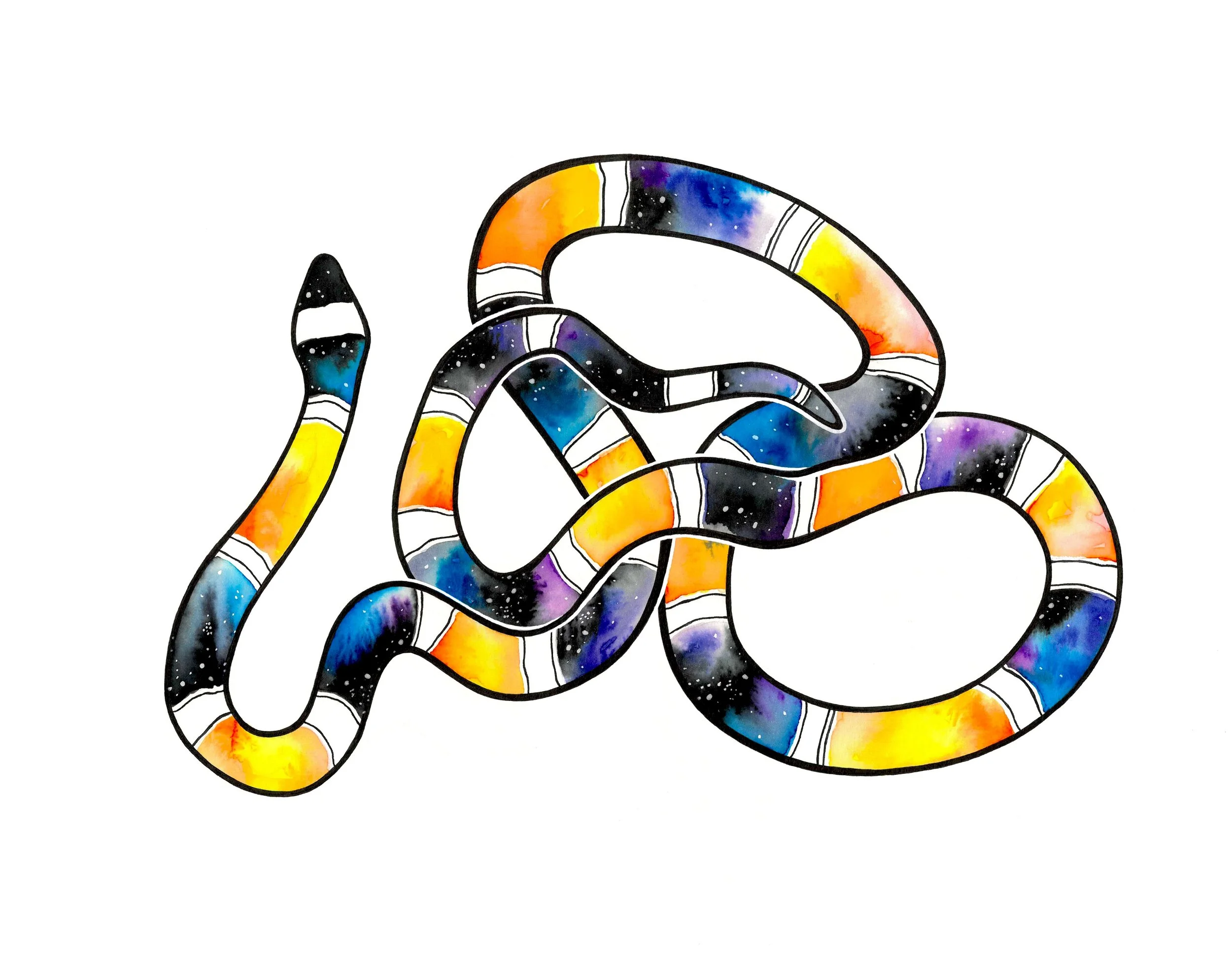 Cosmic Coral Snake Print (9x12)