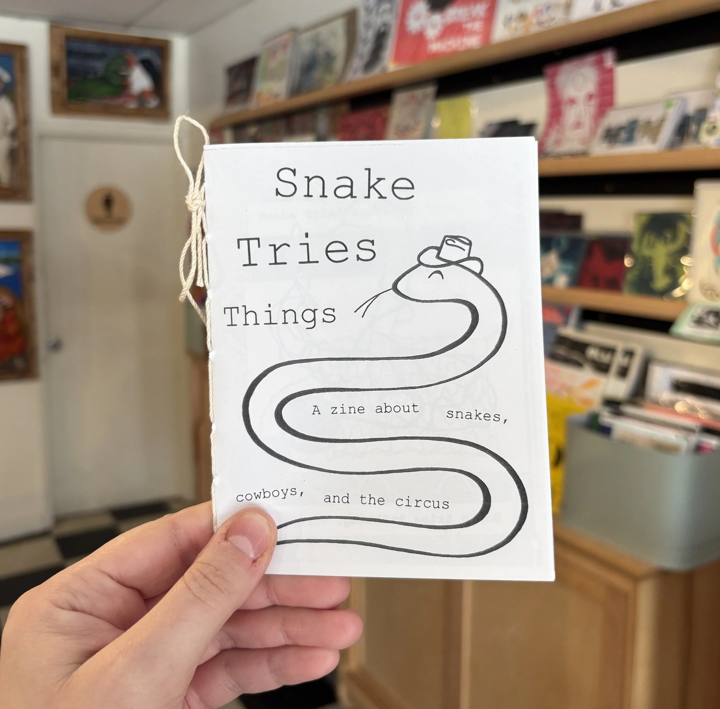 Snake Tries Things Zine
