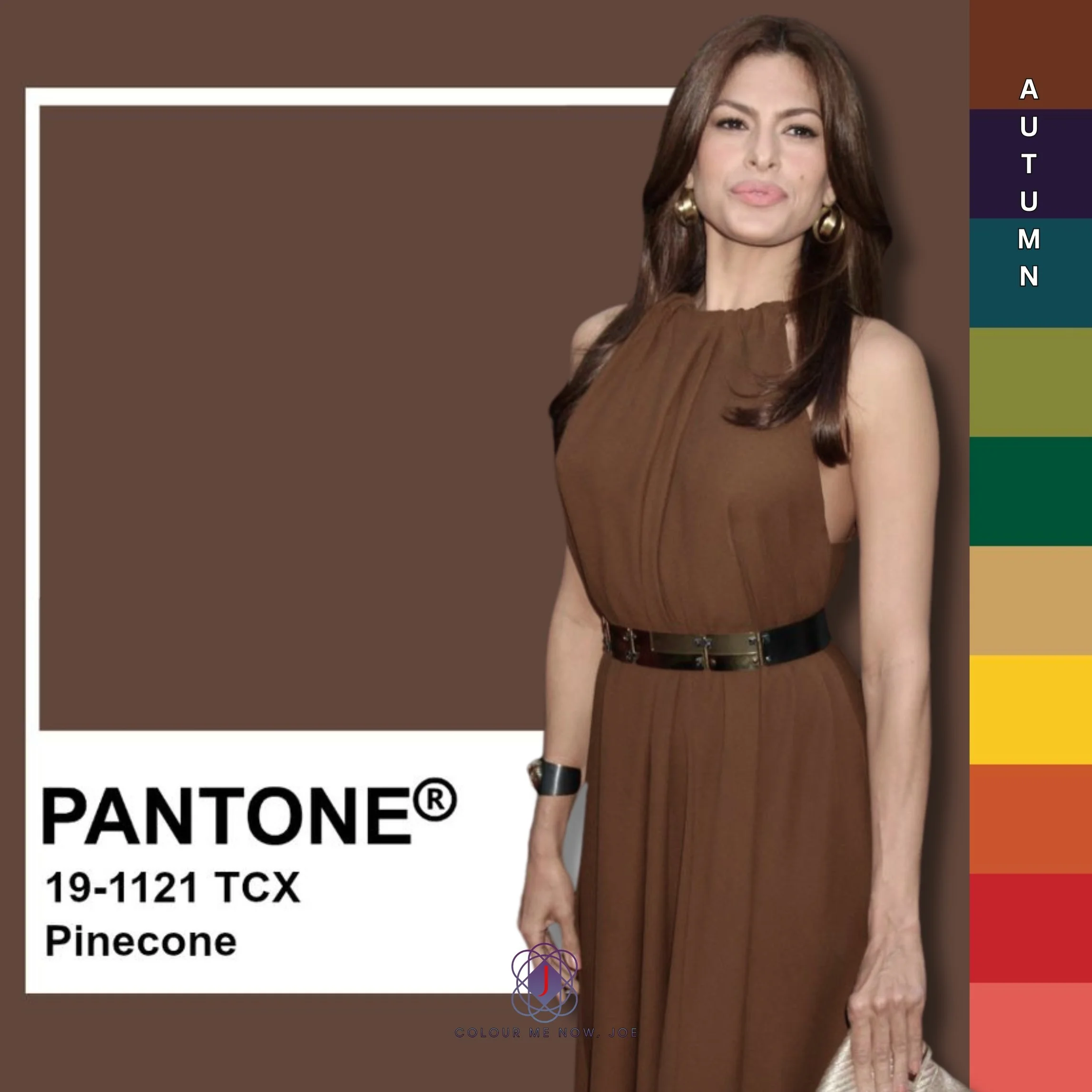 Pinecone is a rich, warm brown that evokes a sense of earthiness and comfort.
It pairs beautifully with muted greens and soft beiges, creating a harmonious palette reminiscent of the outdoors. Additionally, accenting Pinecone with warm metallics, su