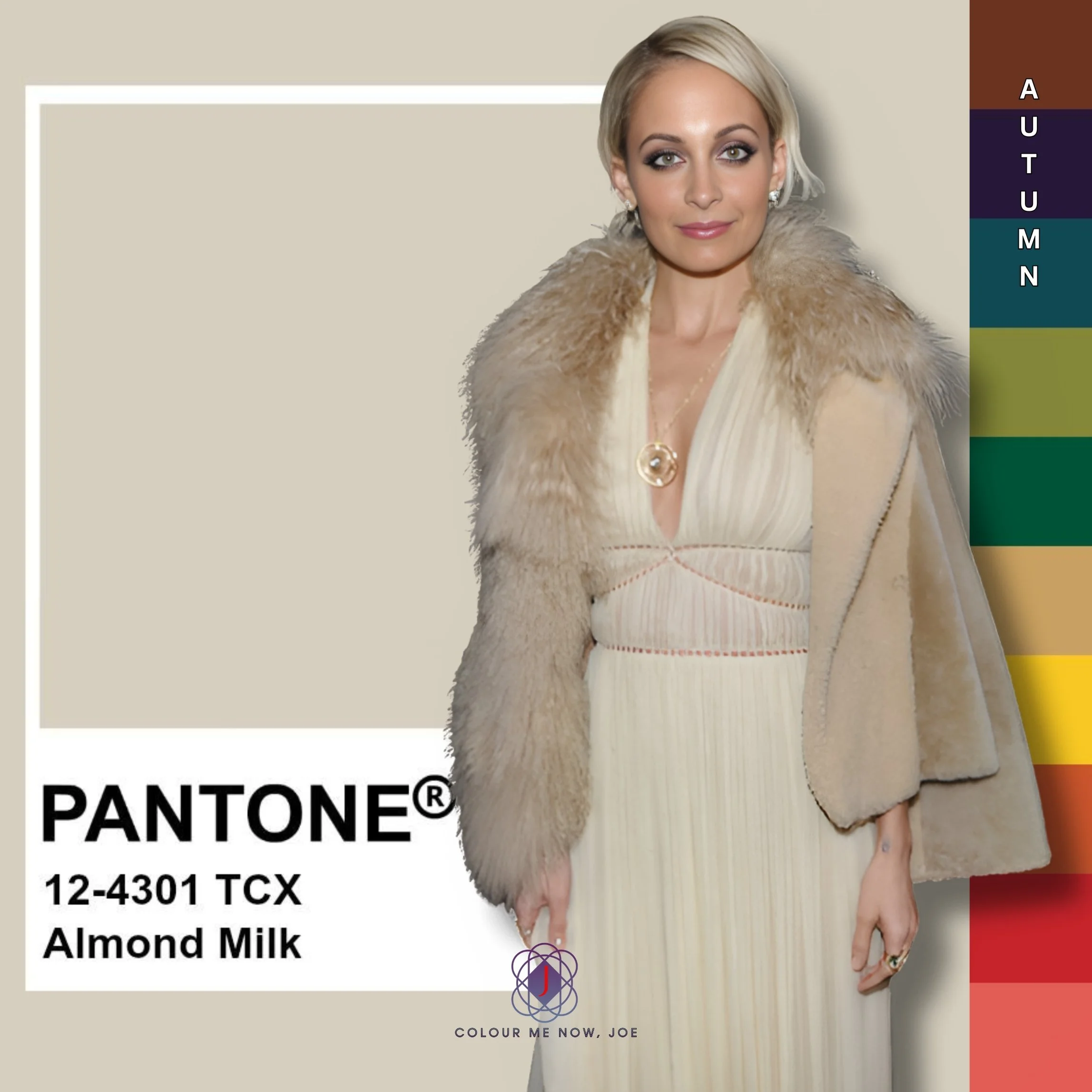 Pantone's Almond Milk is a warm, creamy, off-white shade with subtle beige undertones, evoking a sense of softness and warmth.
Almond Milk pairs beautifully with rich earth tones like terracotta and olive green, as well as pastel shades like blush p