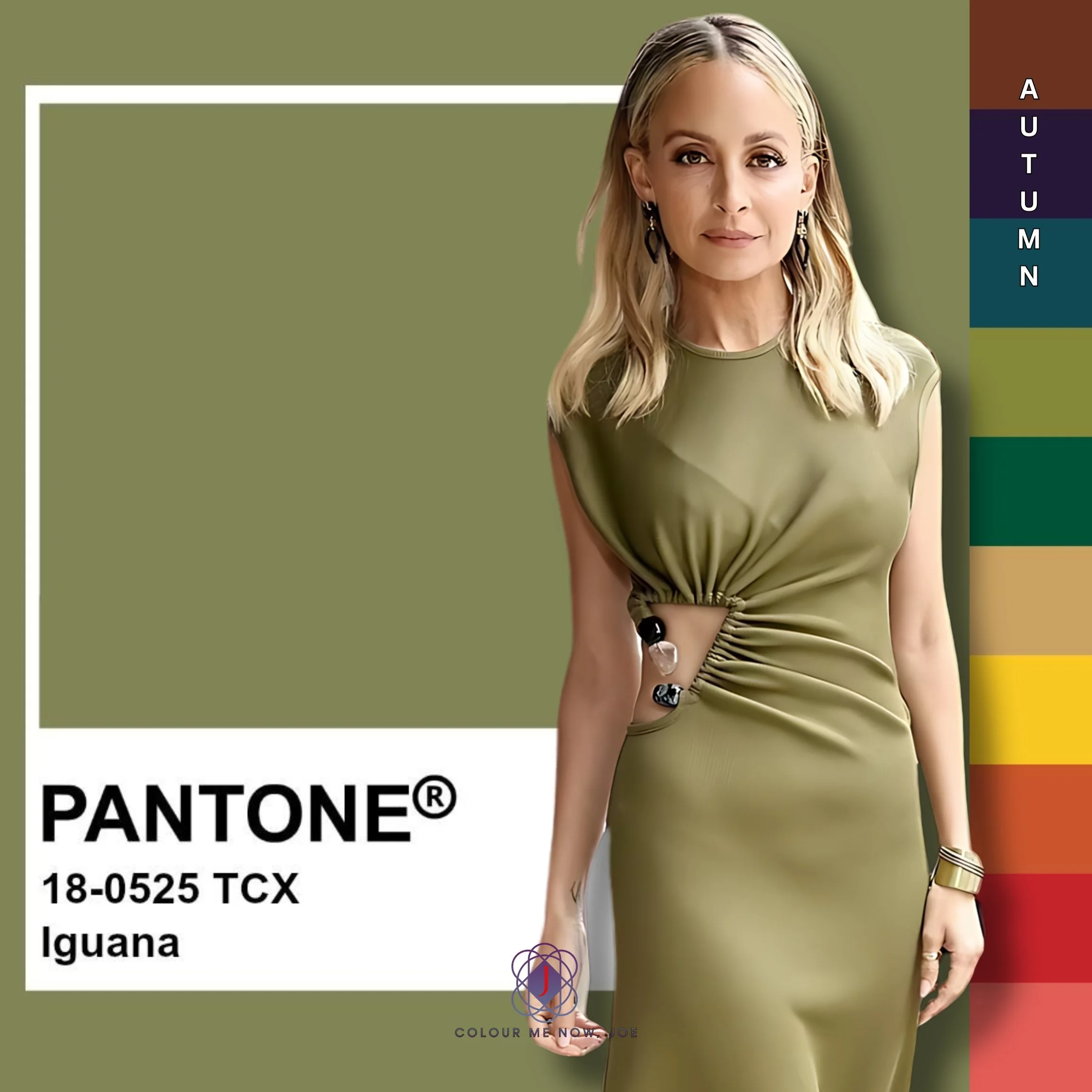 Pantone's Iguana is a vibrant, earthy green that evokes a sense of nature. Can be paired with neutrals such as beige, cream and light warm grey or other earthy tones, like browns, tans, camel or golden yellow. Autumns will take advantage of this neut