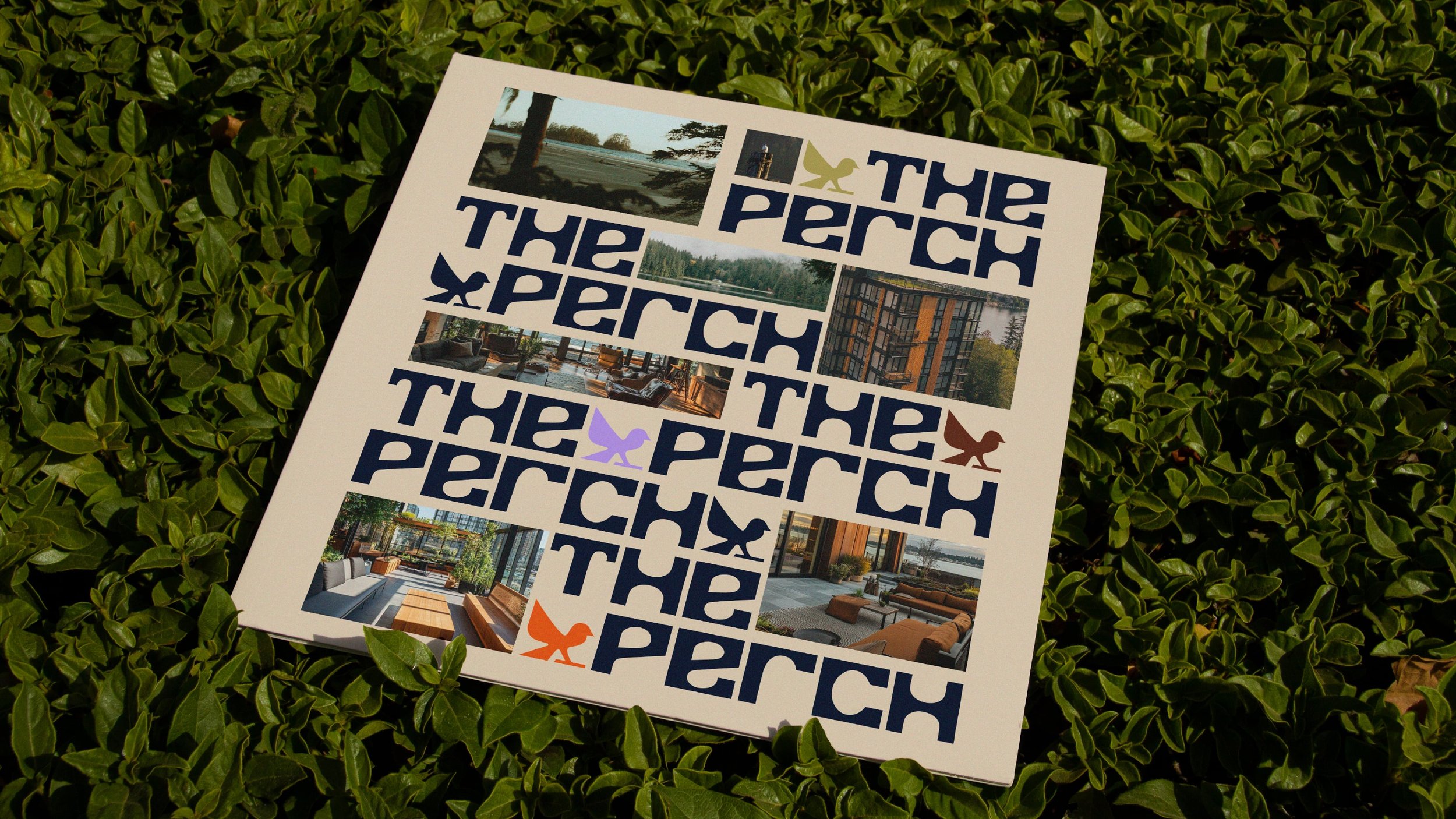 ThePerch_JaydenManzara_Grant_Calgary_Work_Portfolio_12.jpg
