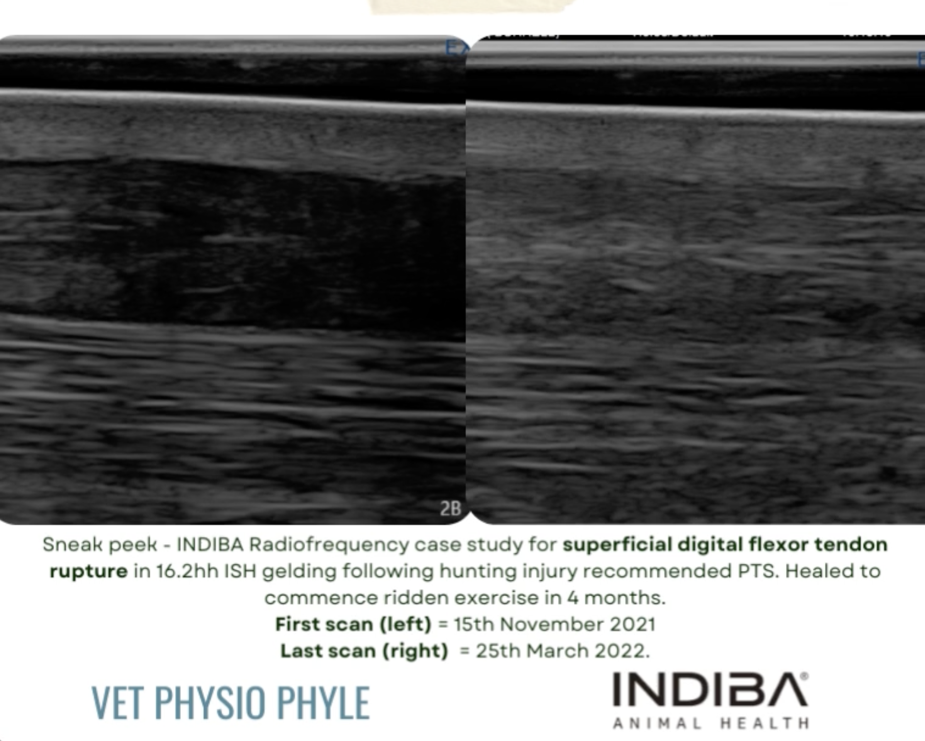 Screenshot 2026-01-16 at 9.46.27 pm.png