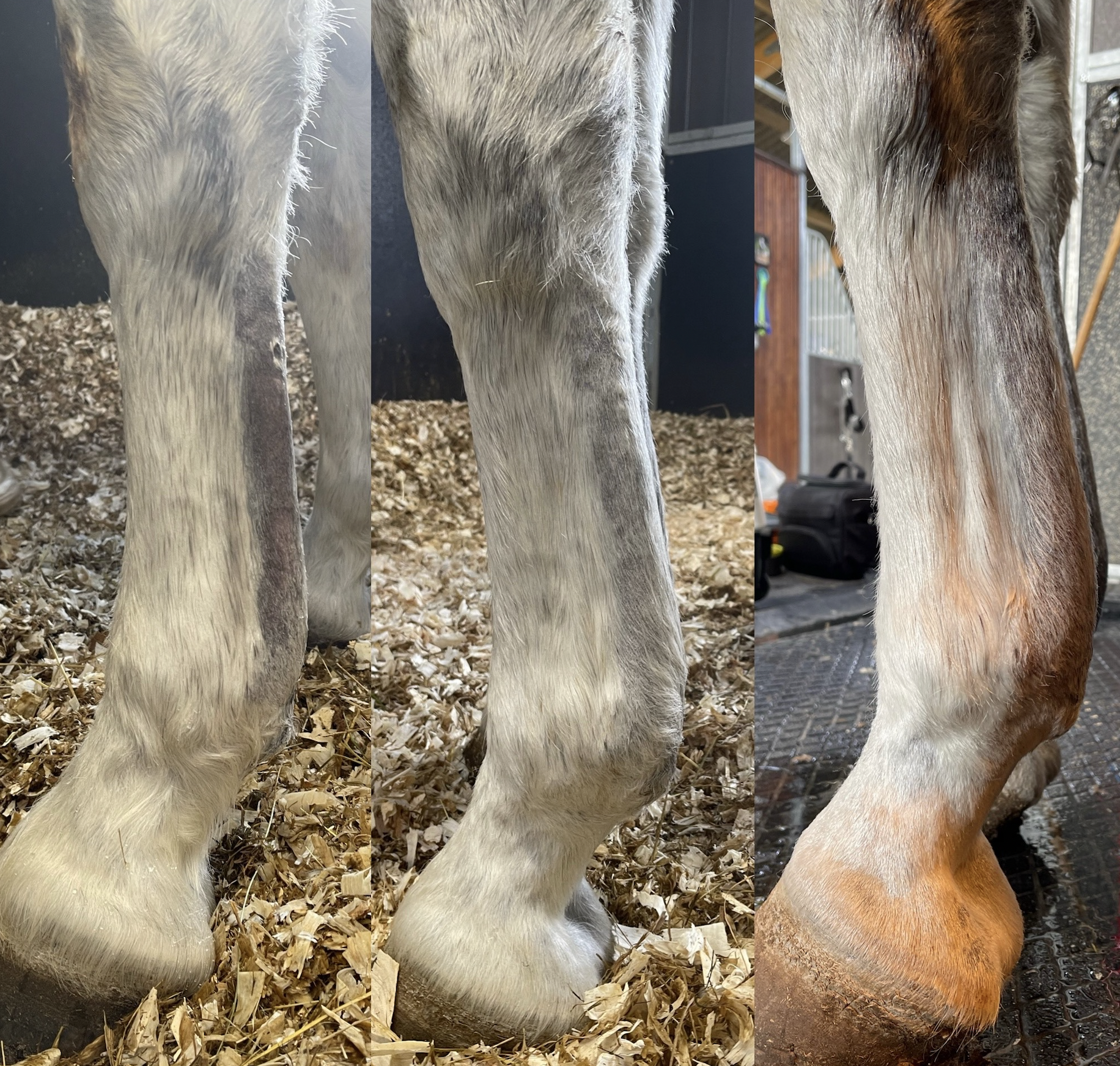 Screenshot 2026-01-16 at 9.47.04 pm.png