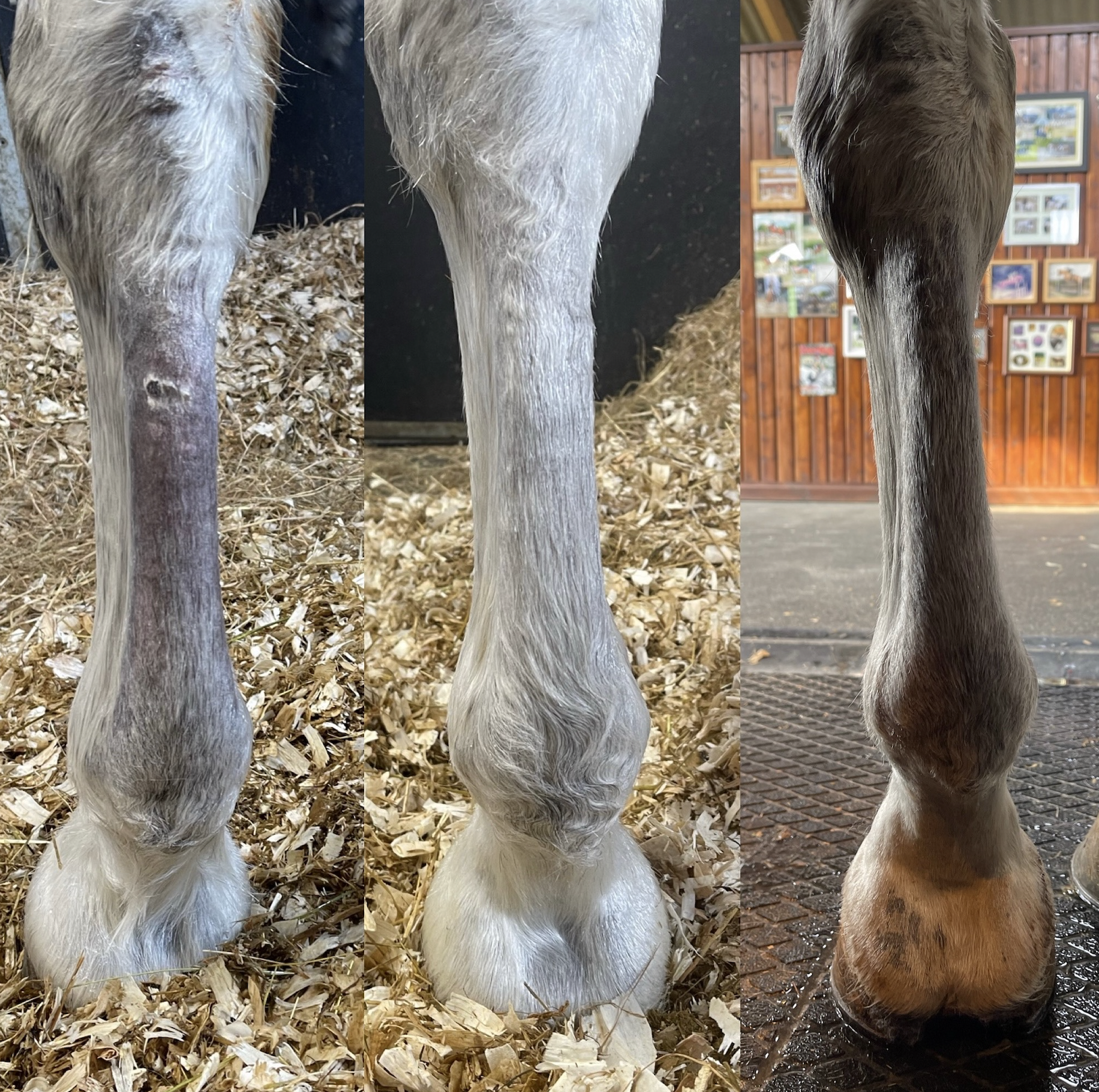 Screenshot 2026-01-16 at 9.49.54 pm.png