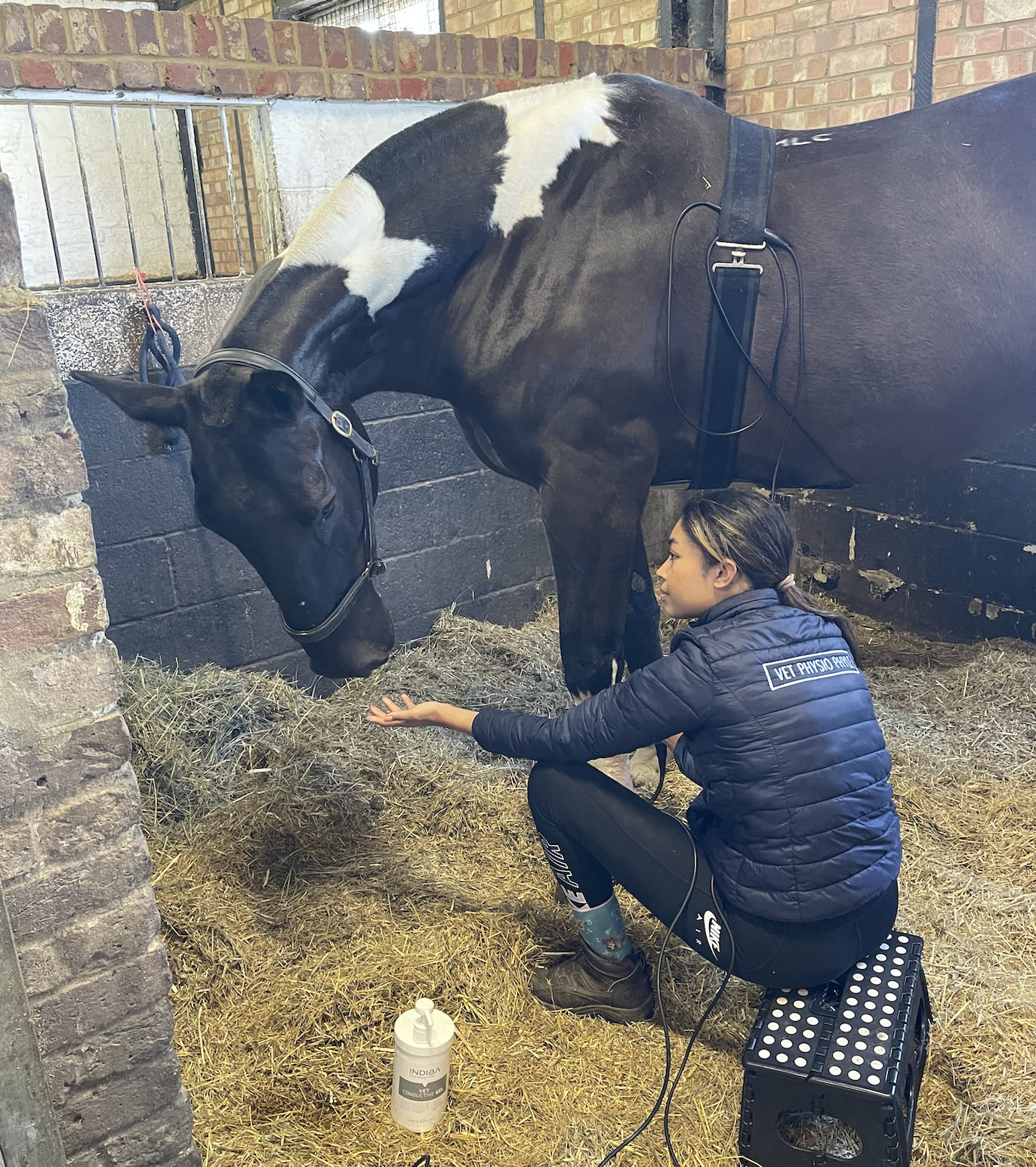 Chronic (2 years) Check Ligament Injury