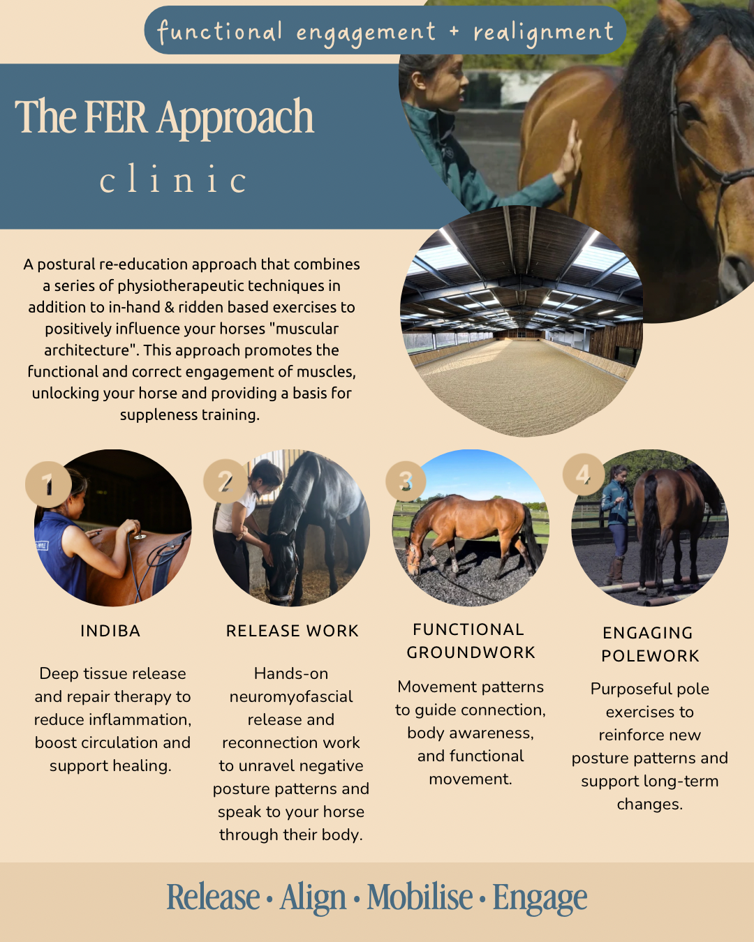 Frensham Manor Equestrian: The Functional Engagement and Realignment Approach Clinic