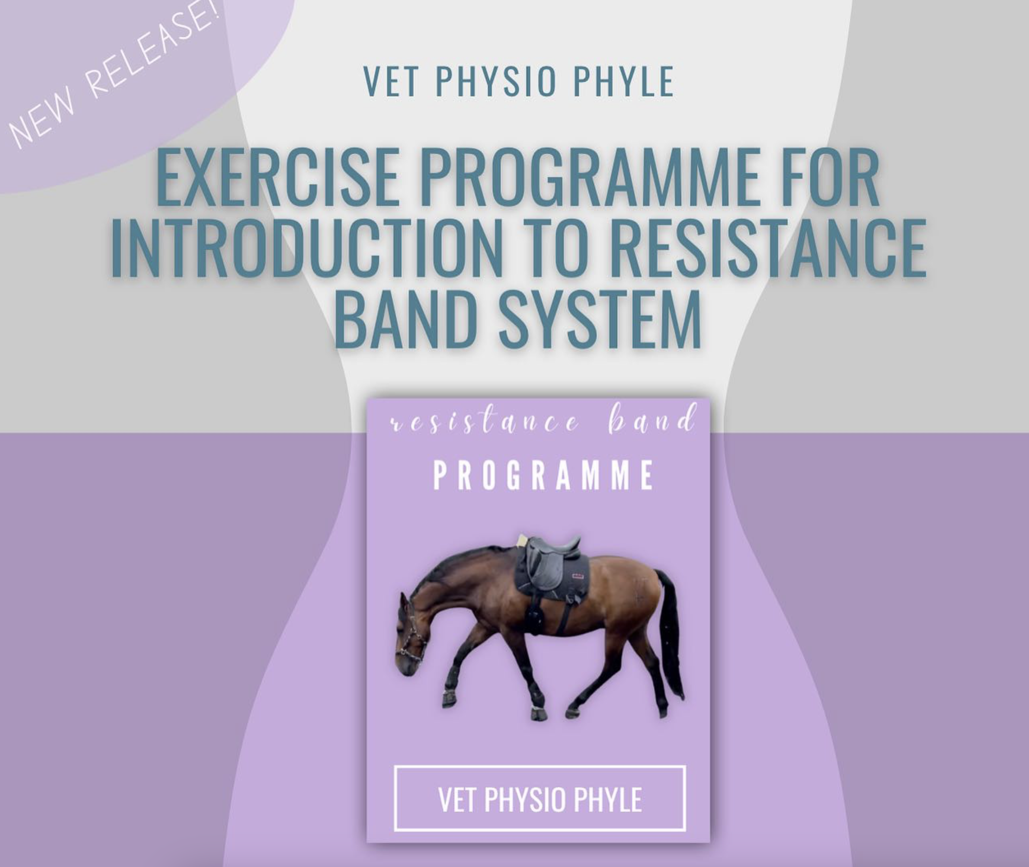 Resistance Band Exercise Programme