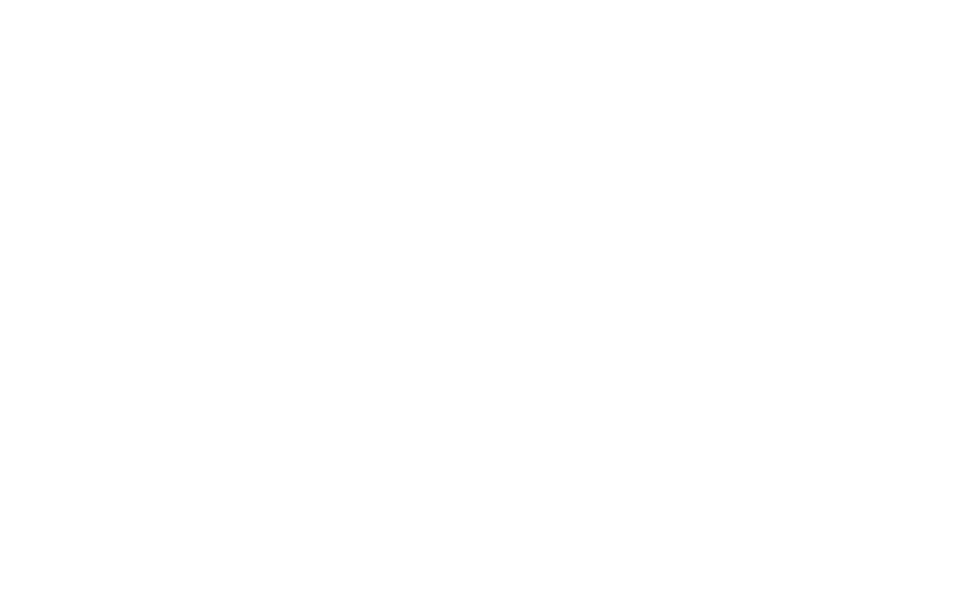 toyota.png