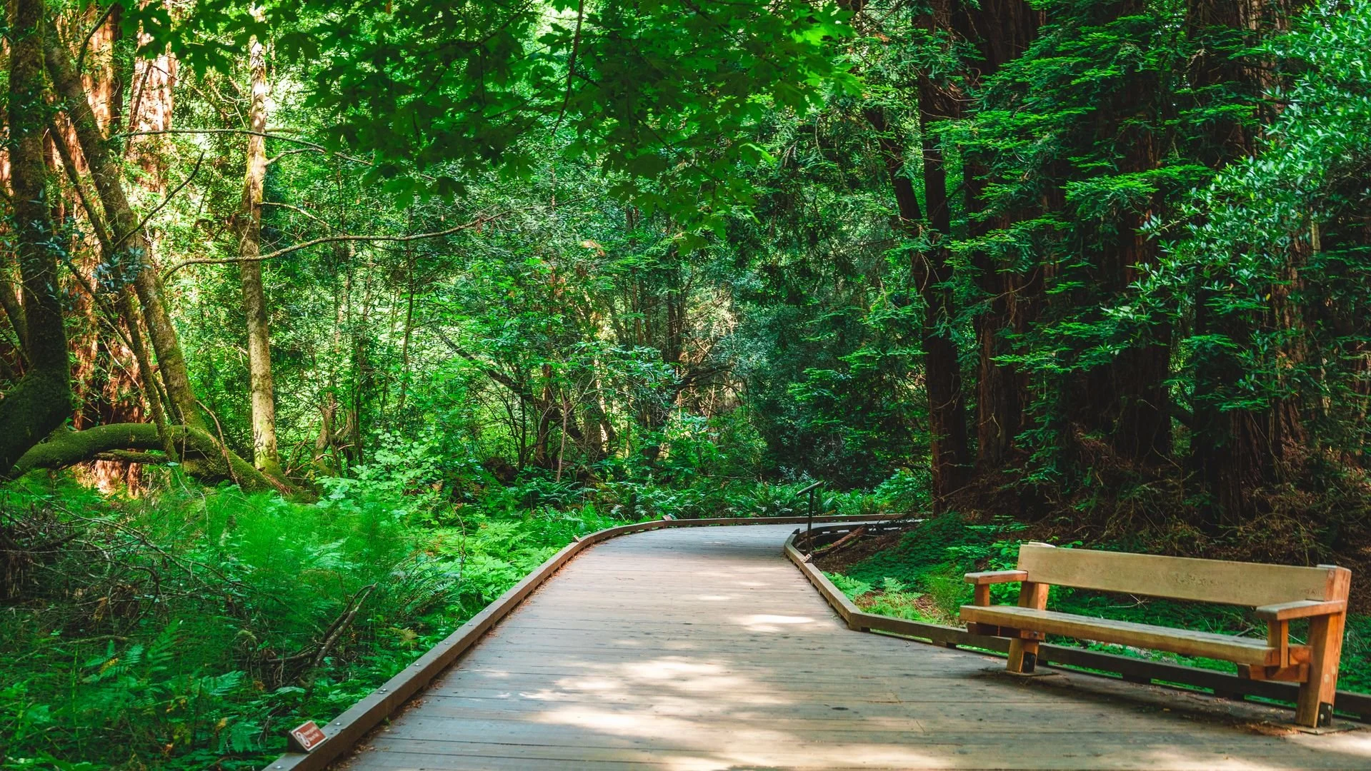 How Spending Time in Nature Improves Mental Health