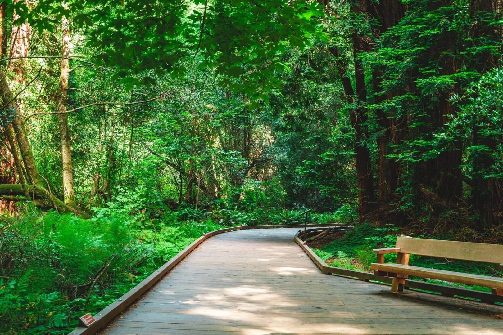 How Spending Time in Nature Improves Mental Health