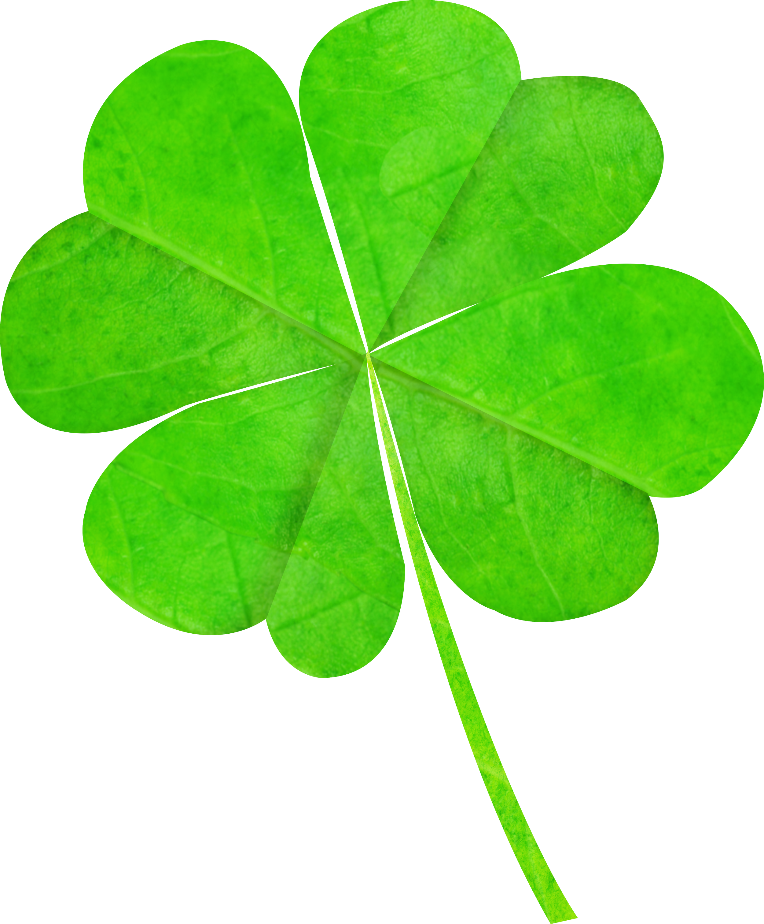 The TELL: That was lucky!